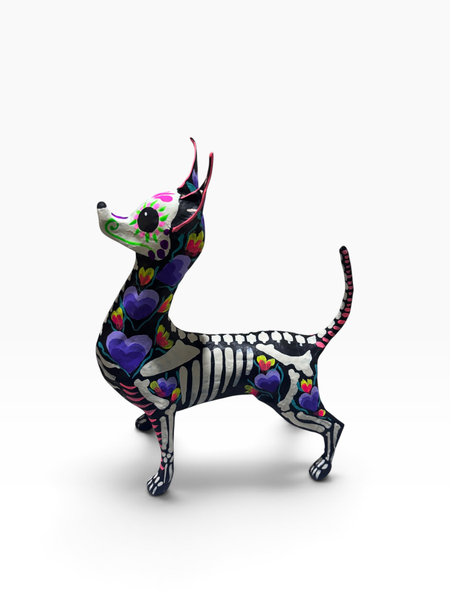 Xolo Corazon Morado