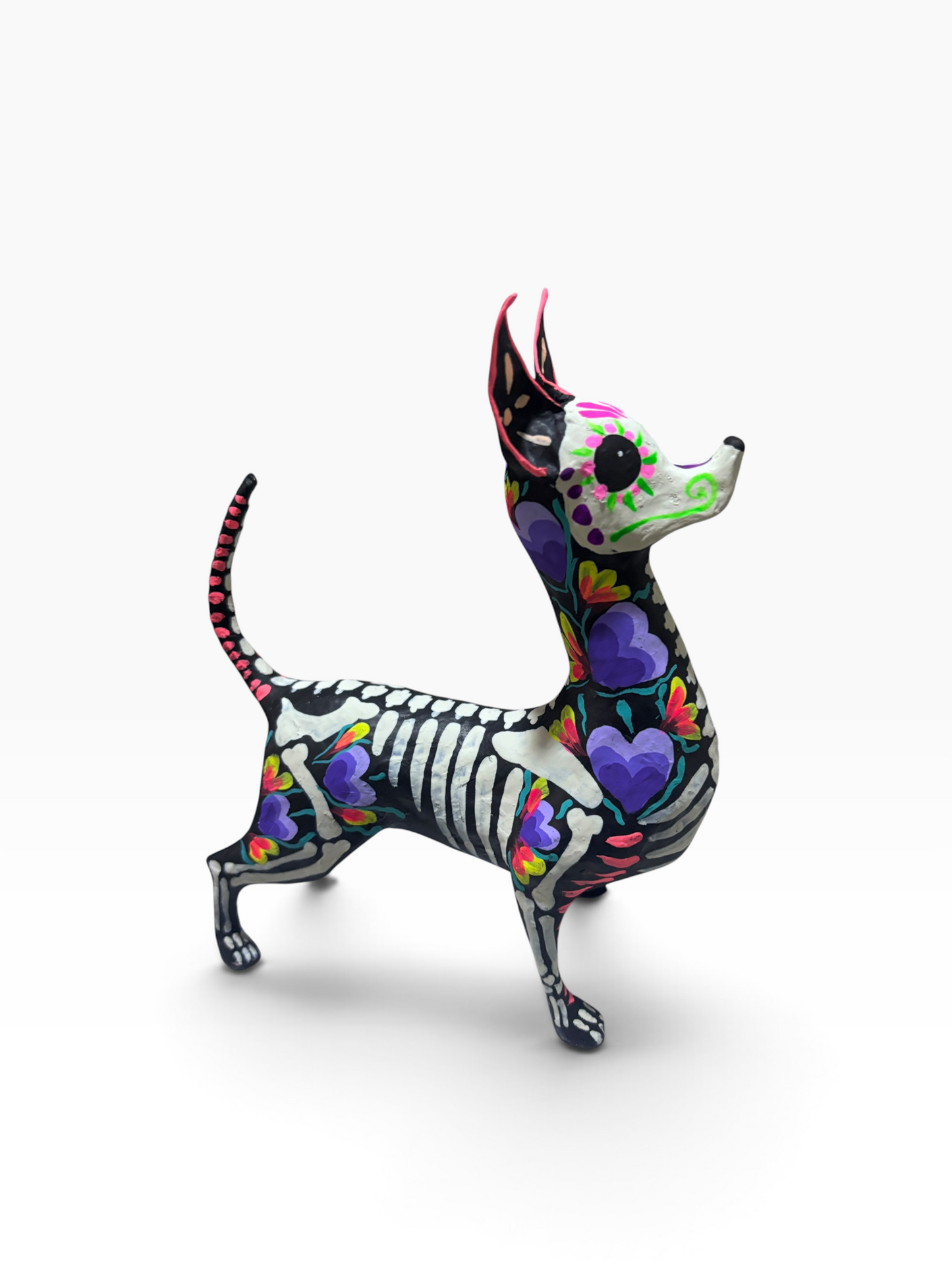 Xolo Corazon Morado
