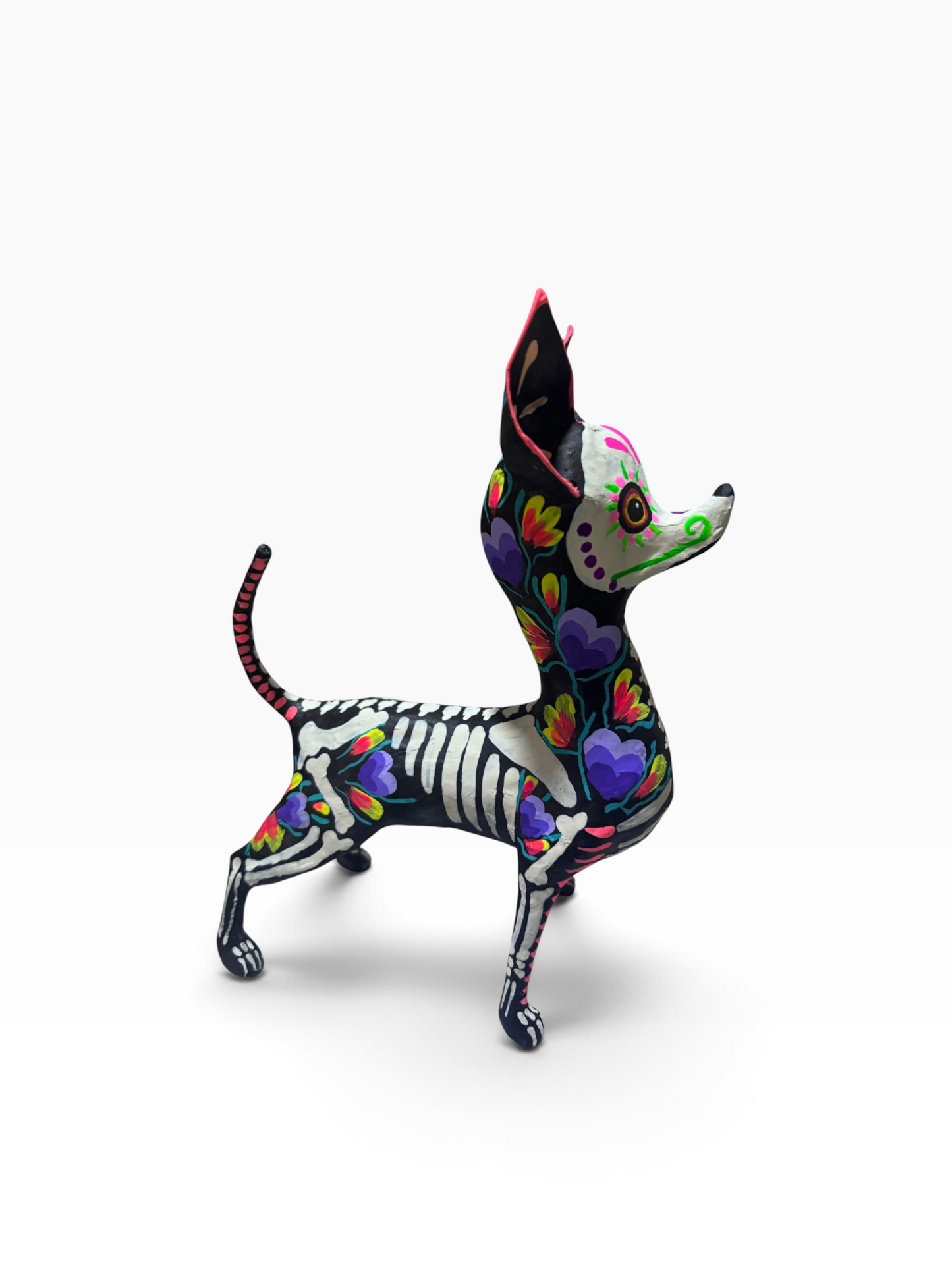 chihuahua corazones morados