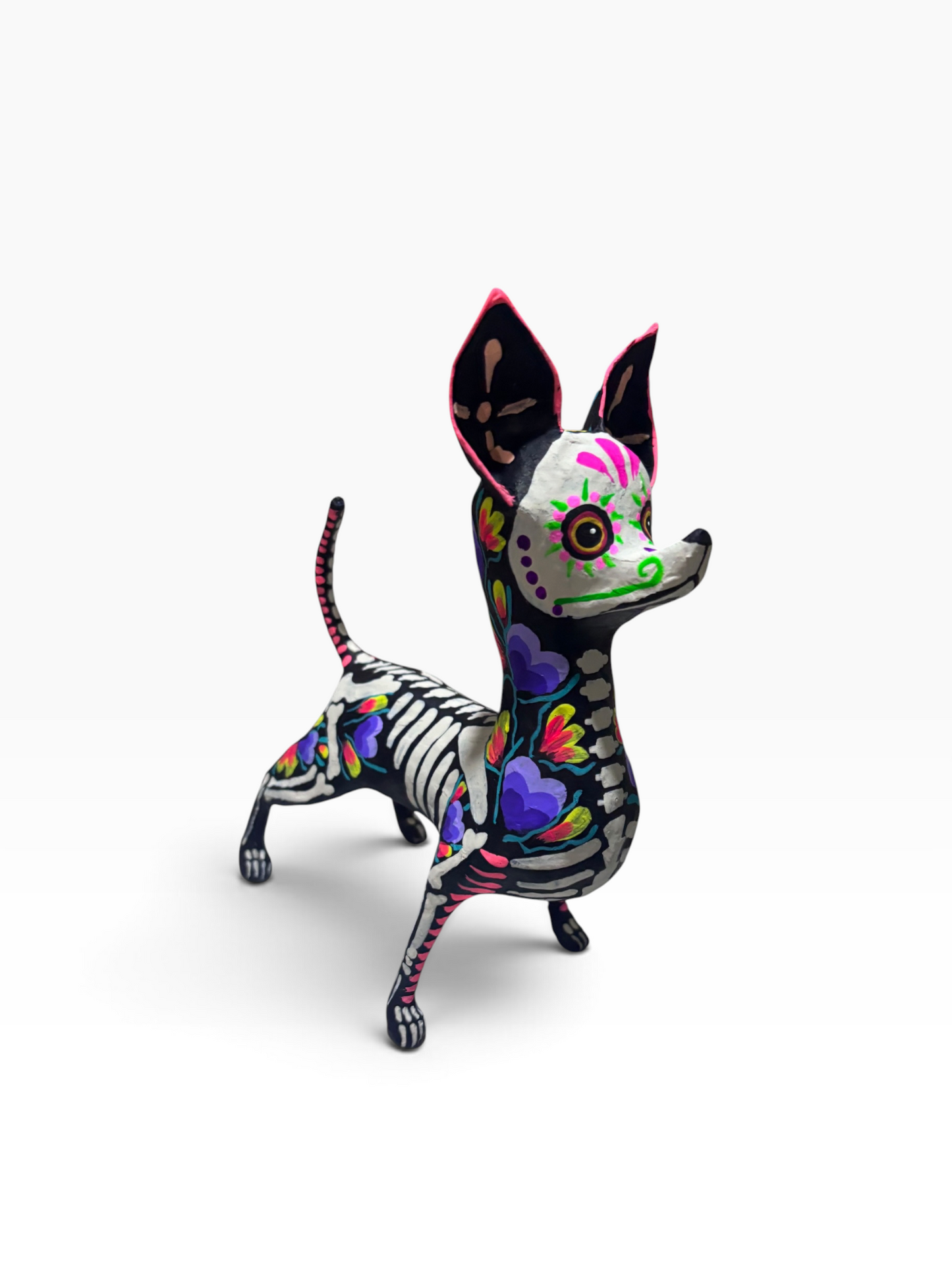 chihuahua corazones morados
