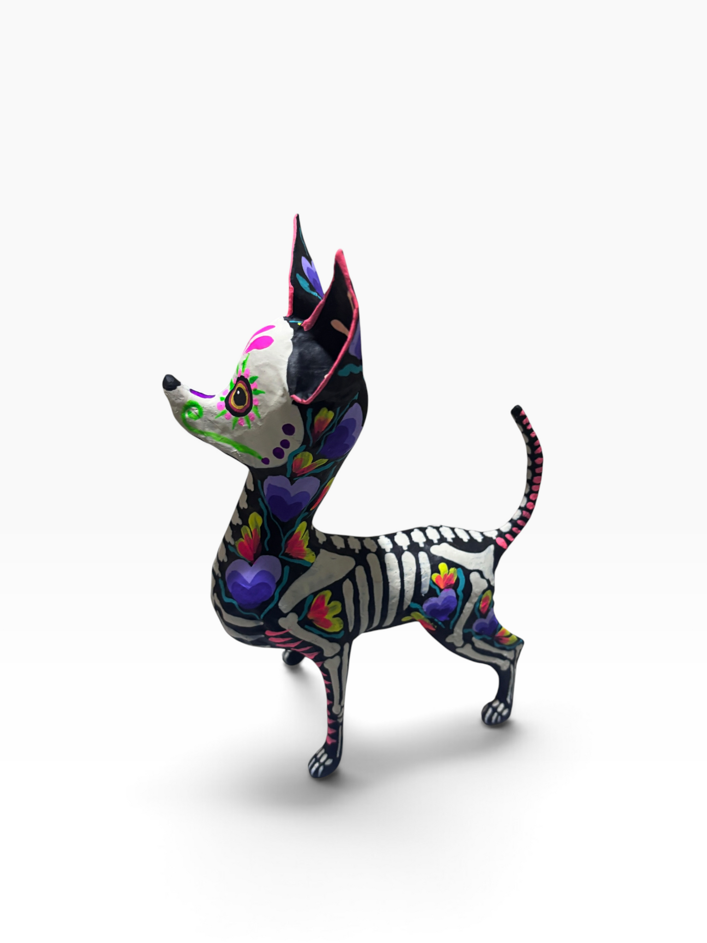 chihuahua corazones morados