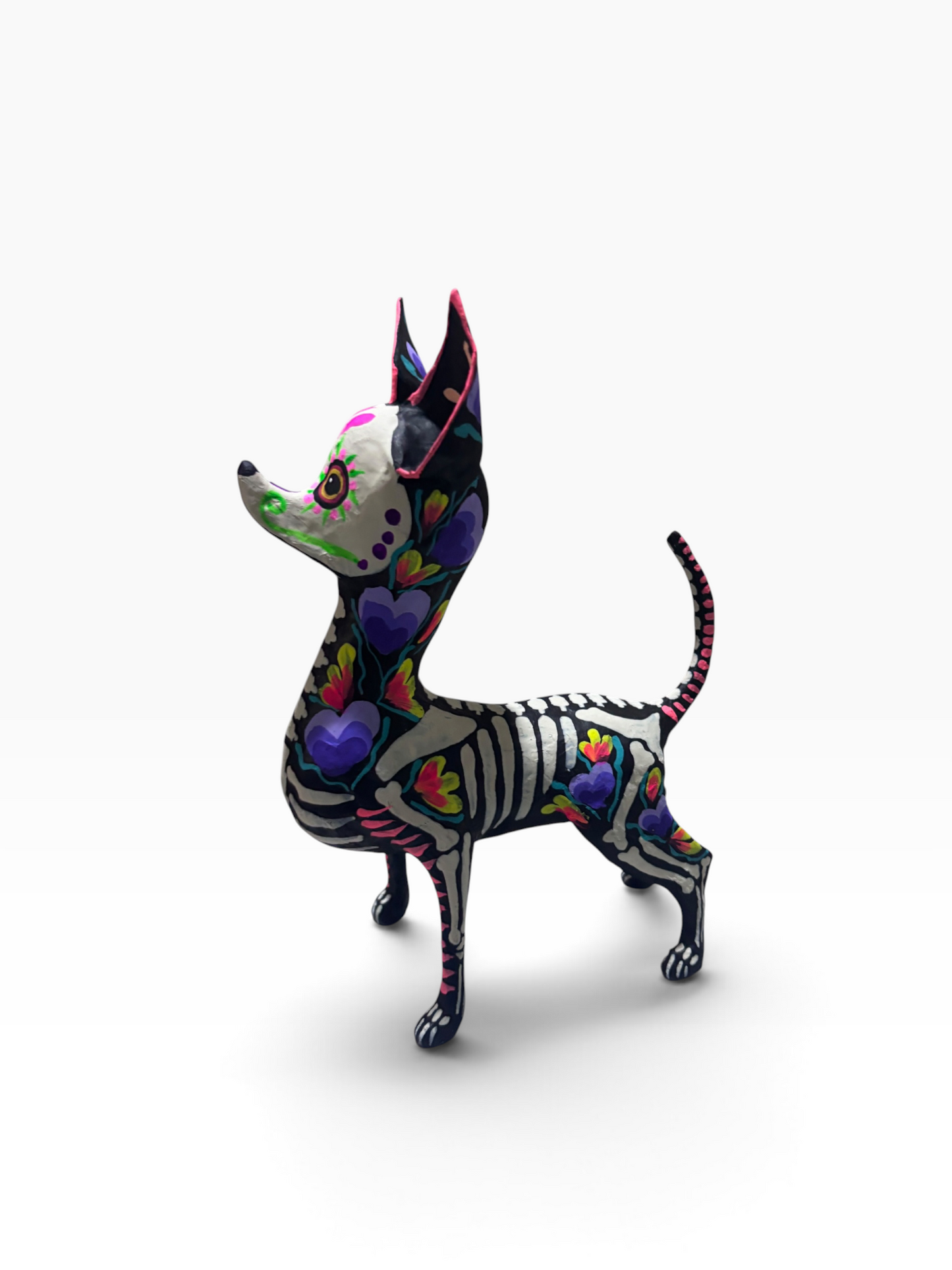 chihuahua corazones morados