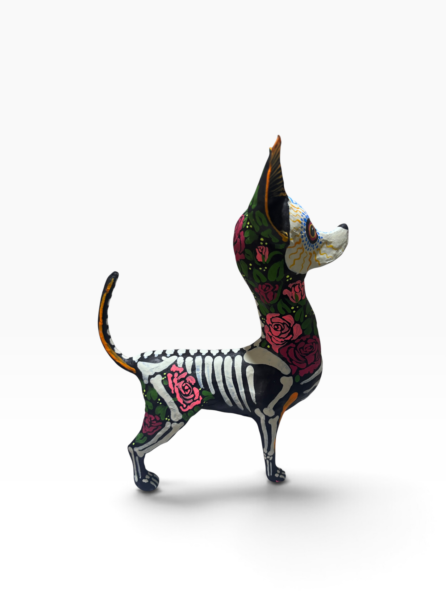 chihuahua rosas rojas