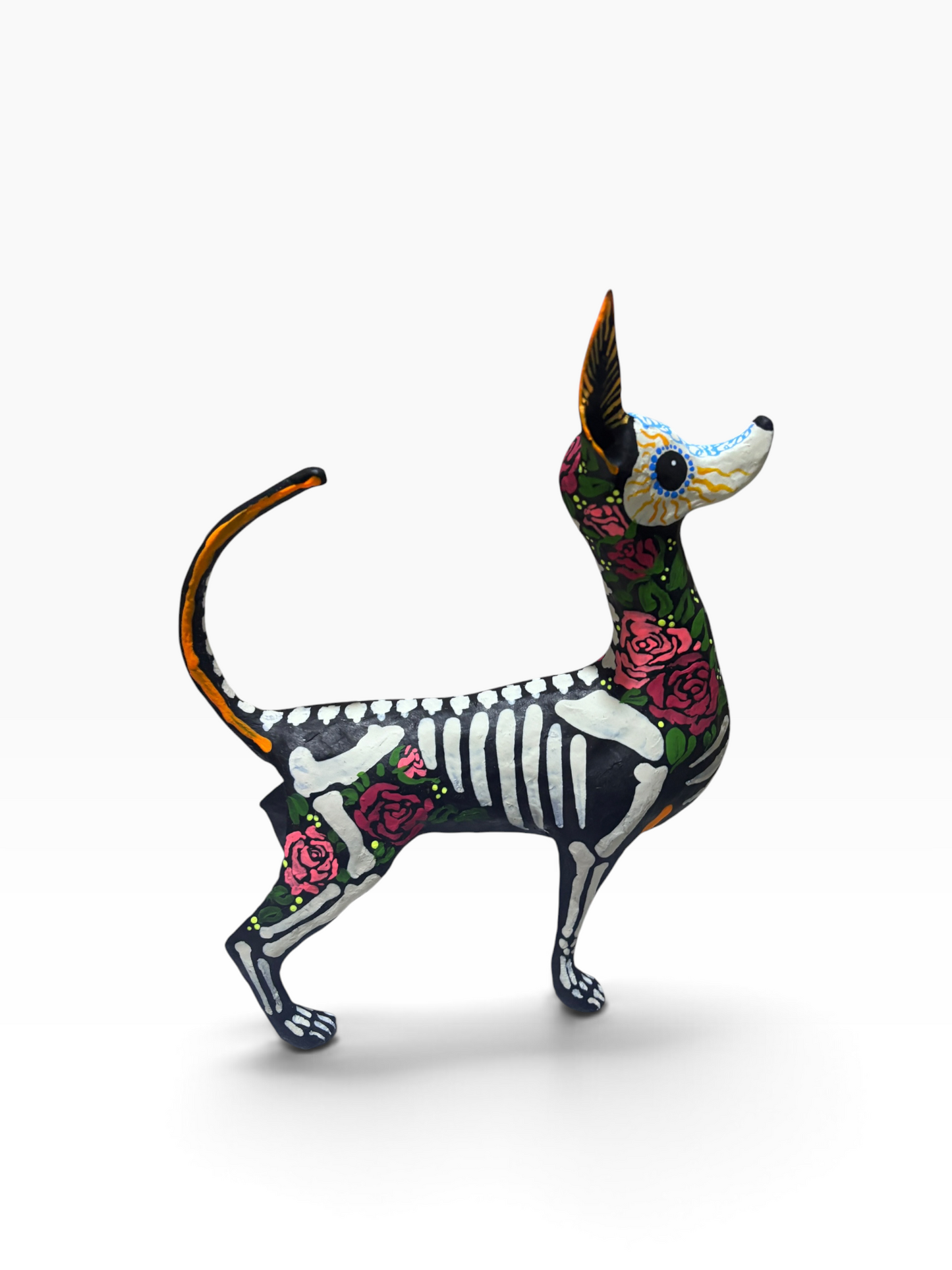 Xolo Rosas Rojas