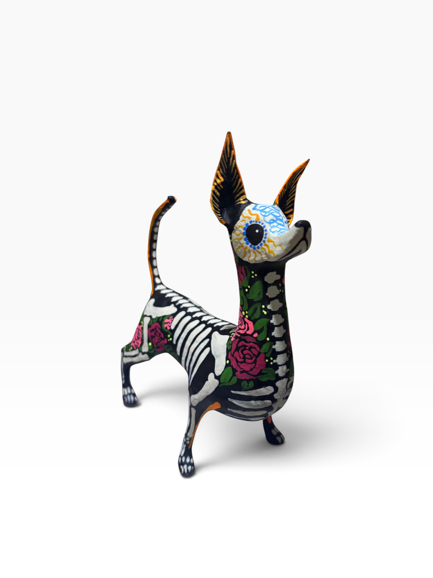 Xolo Rosas Rojas