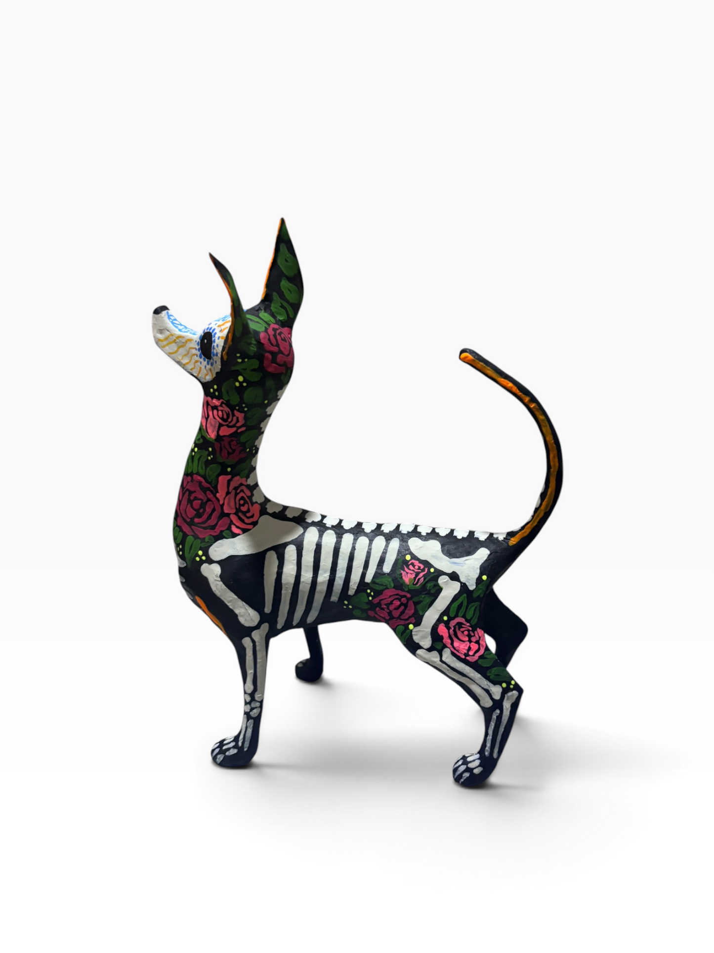 Xolo Rosas Rojas