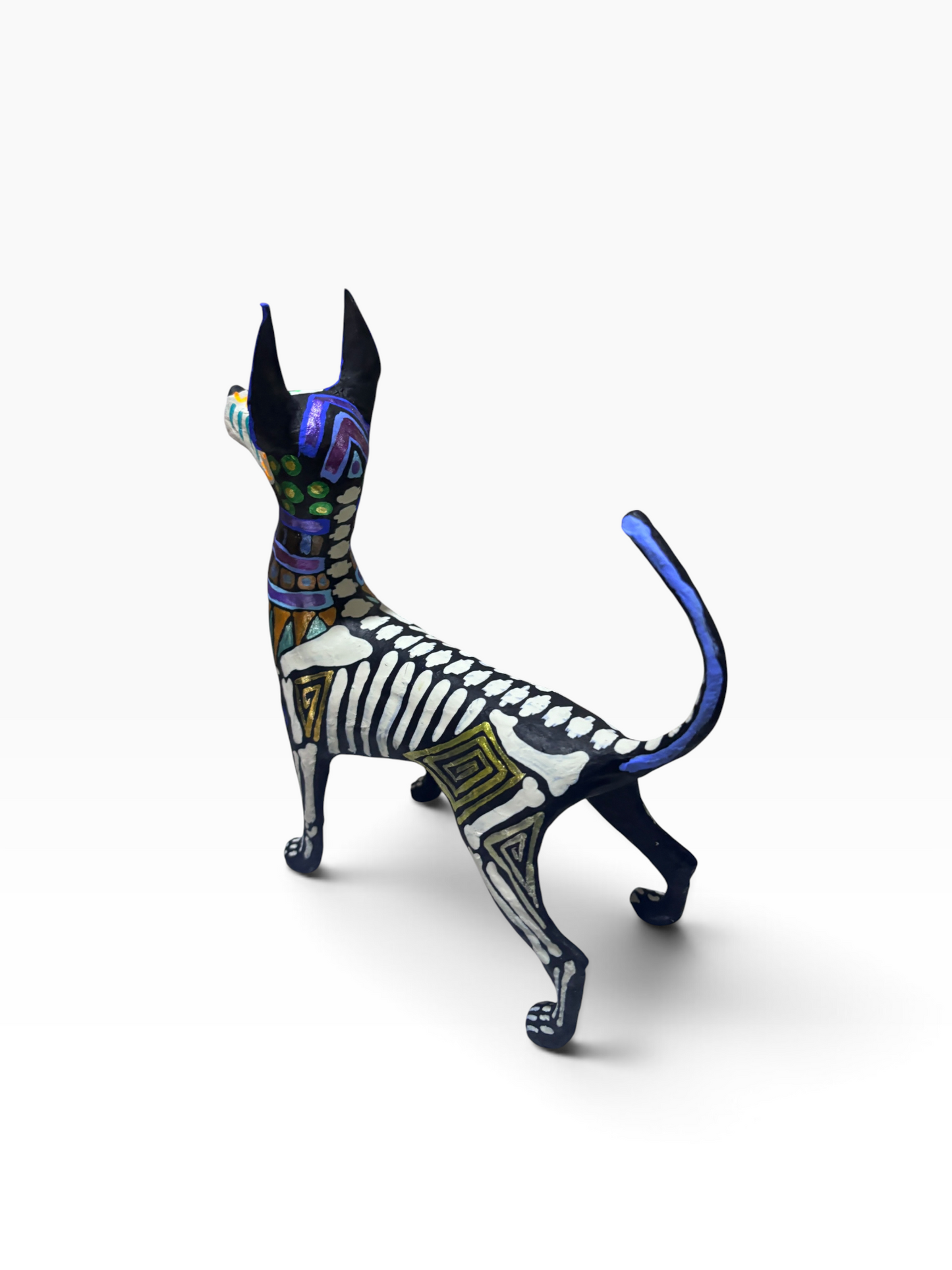 Xolo Gecas Azul