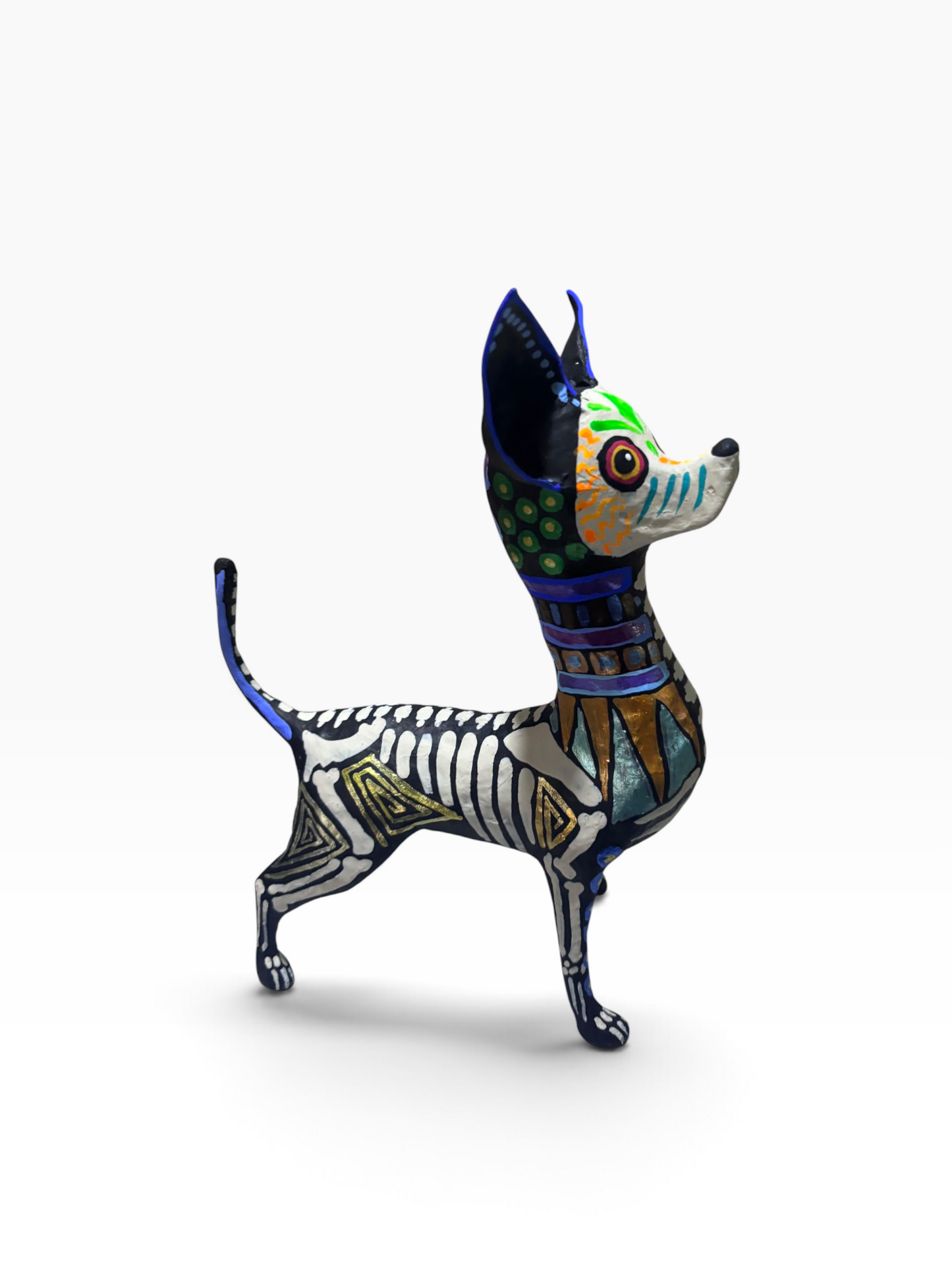 Chihuahua Grecas Azules