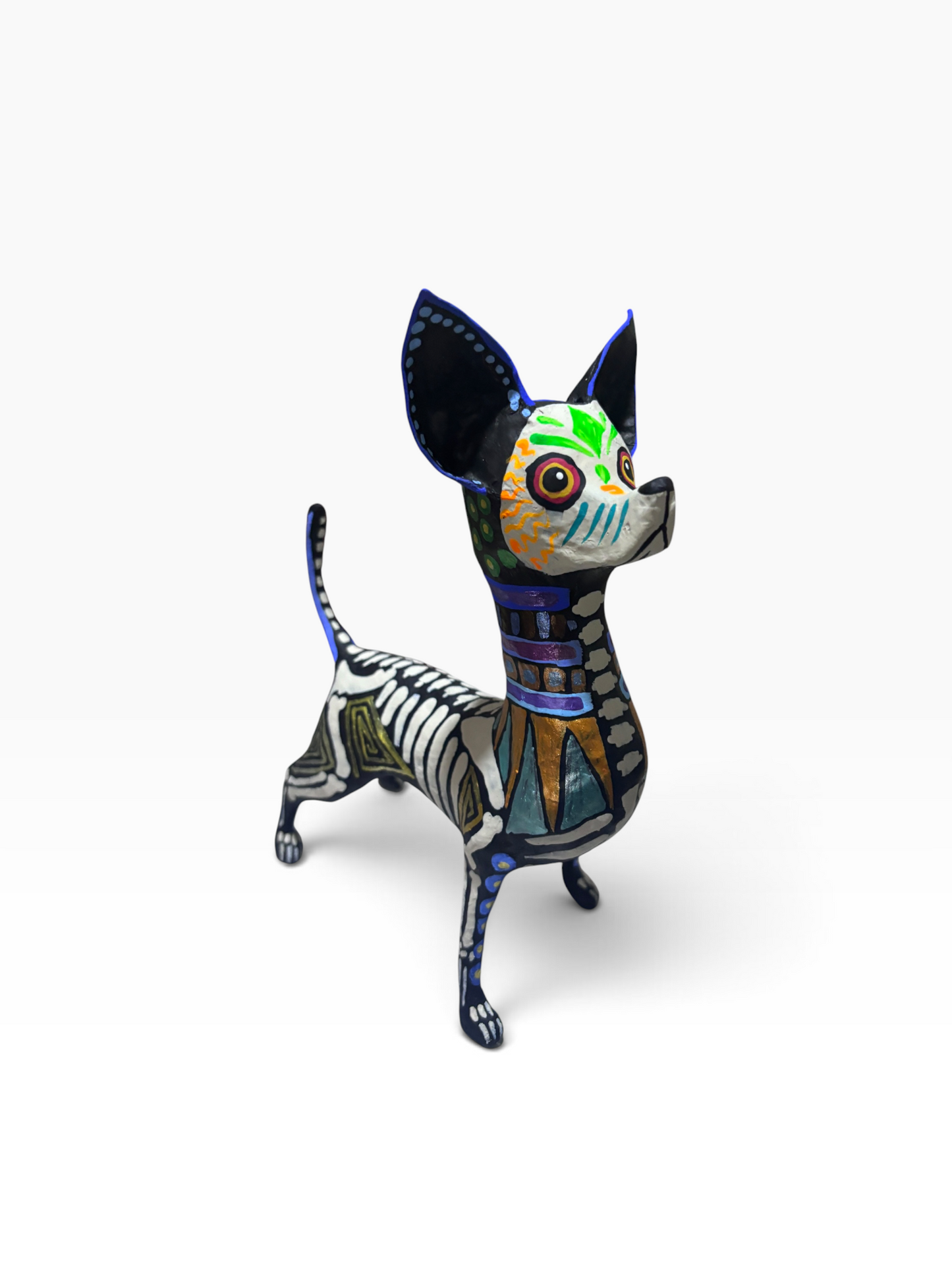 Chihuahua Grecas Azules