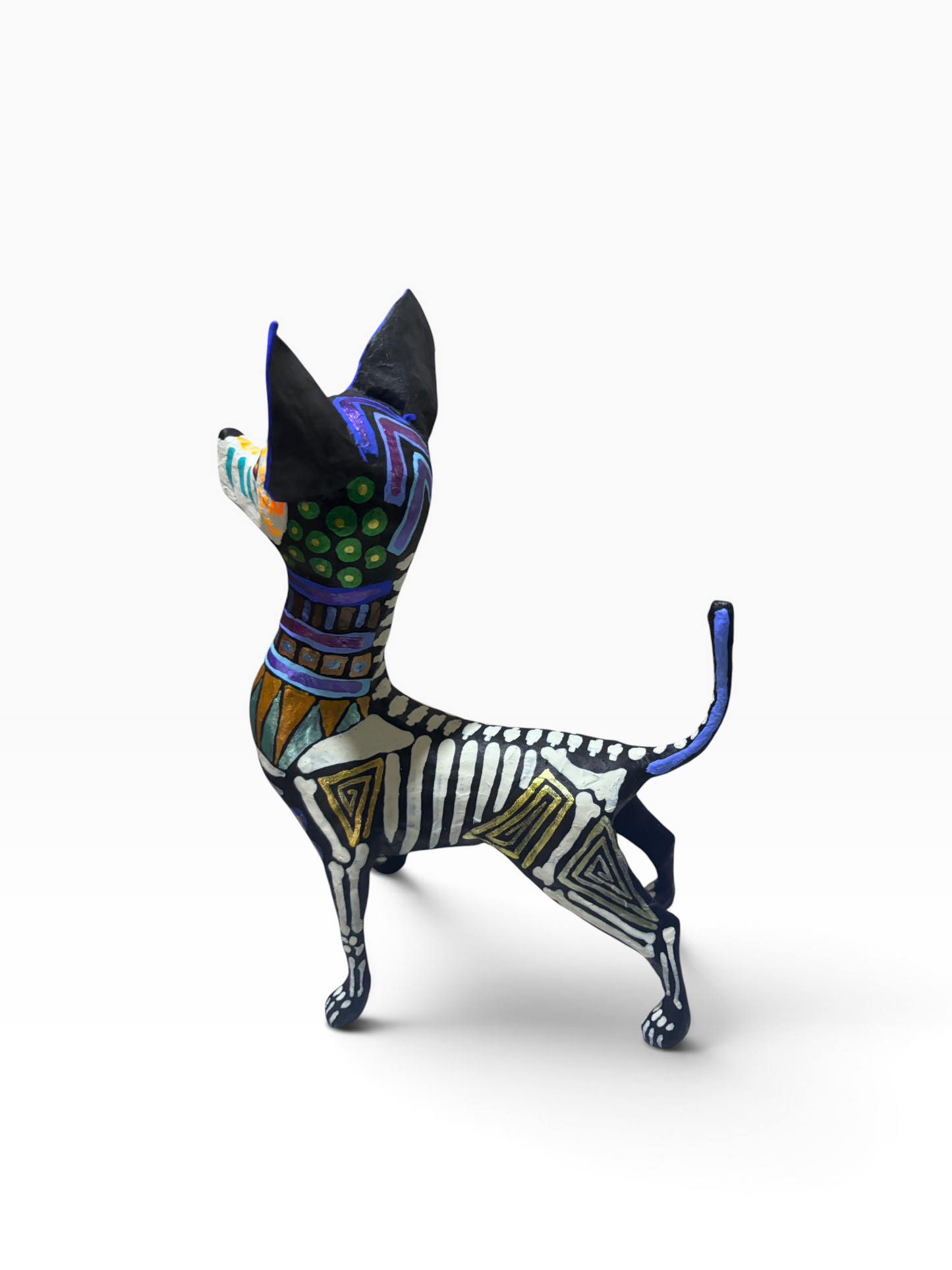 Chihuahua Grecas Azules