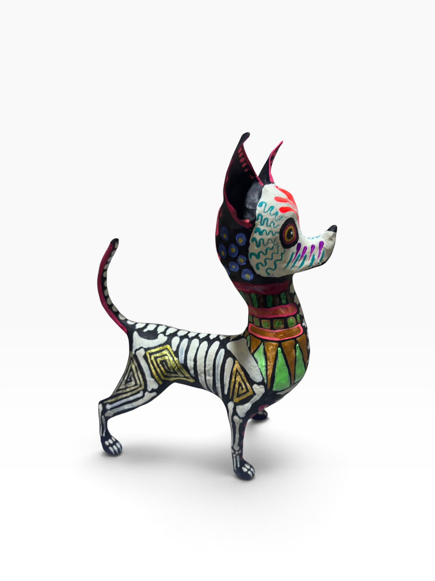Chihuahua Grecas Rosas