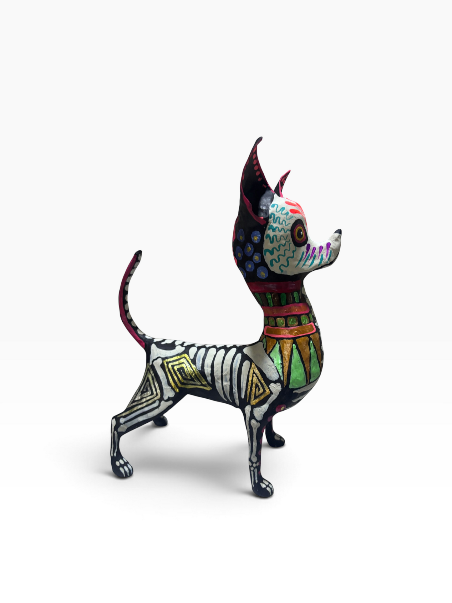 Chihuahua Grecas Rosas