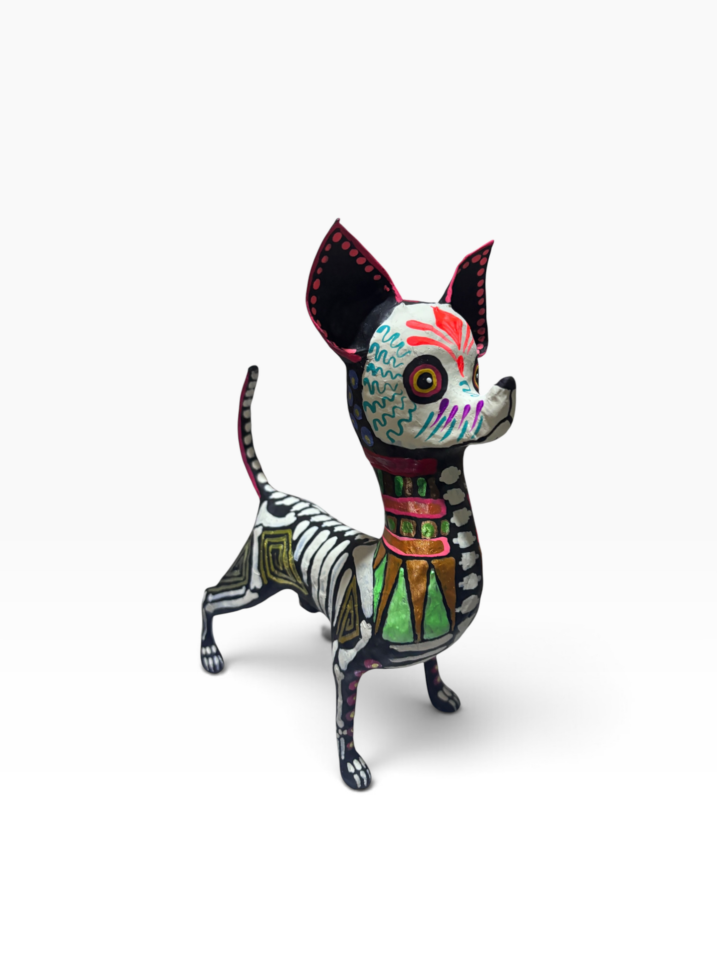 Chihuahua Grecas Rosas