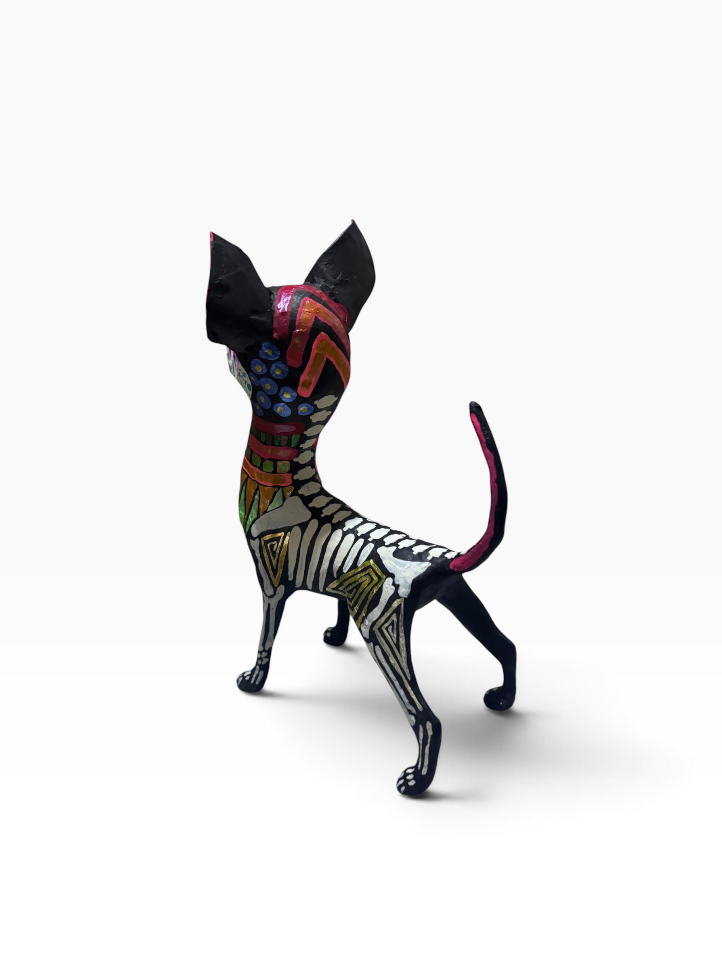 Chihuahua Grecas Rosas