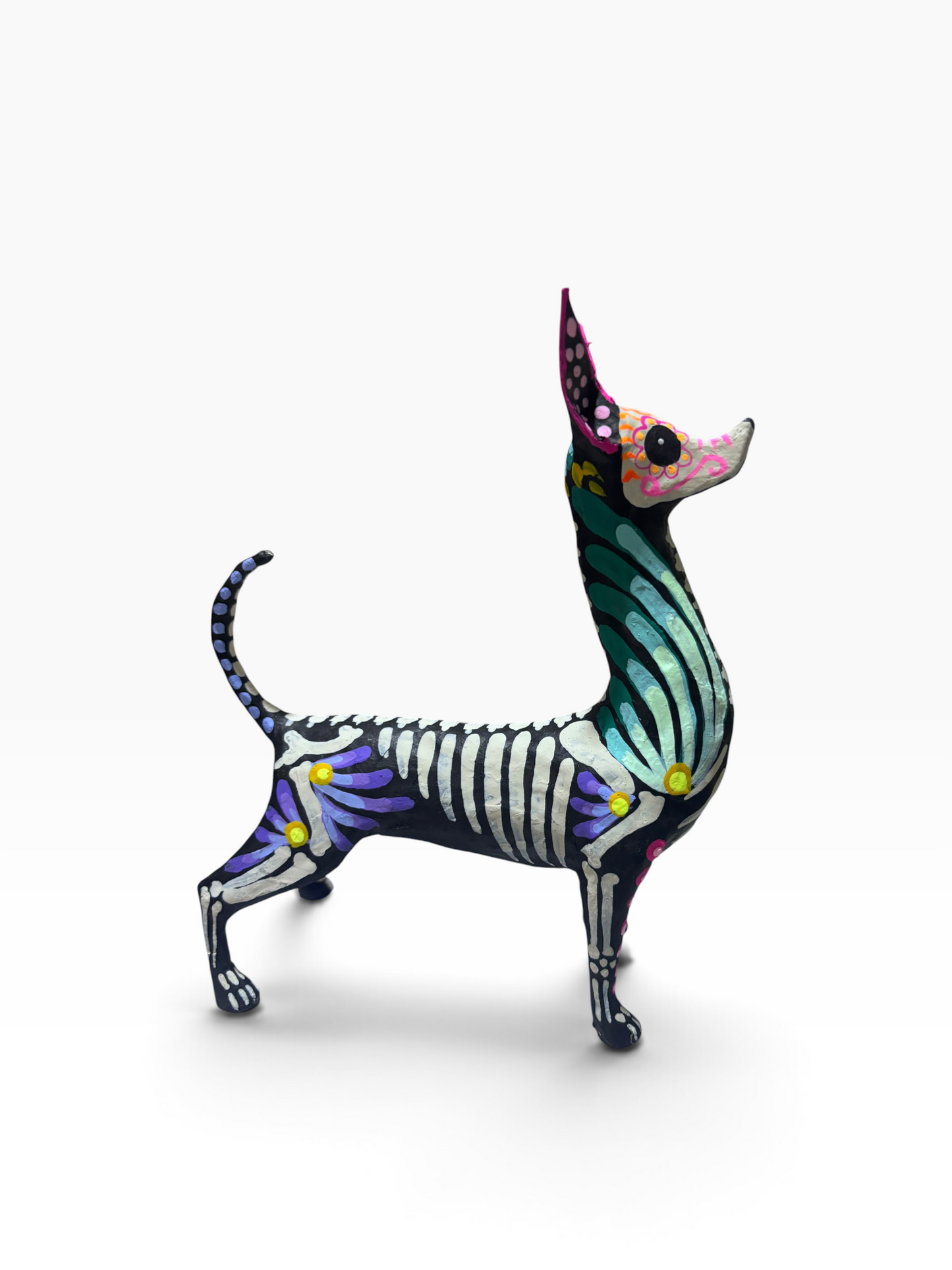 Xolo Petalos Aqua