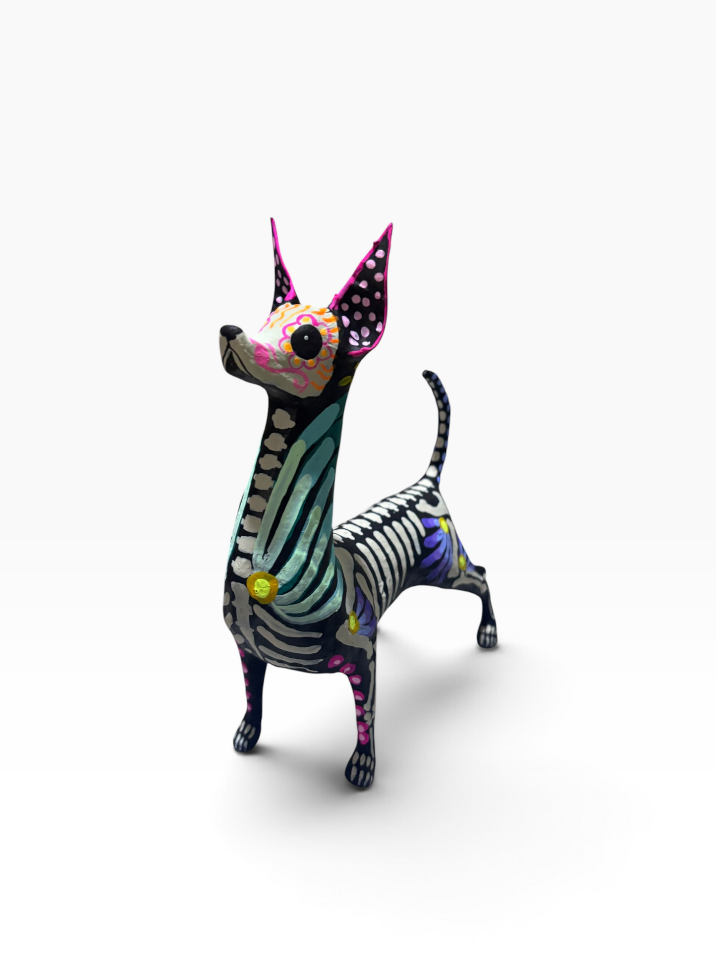Xolo Petalos Aqua