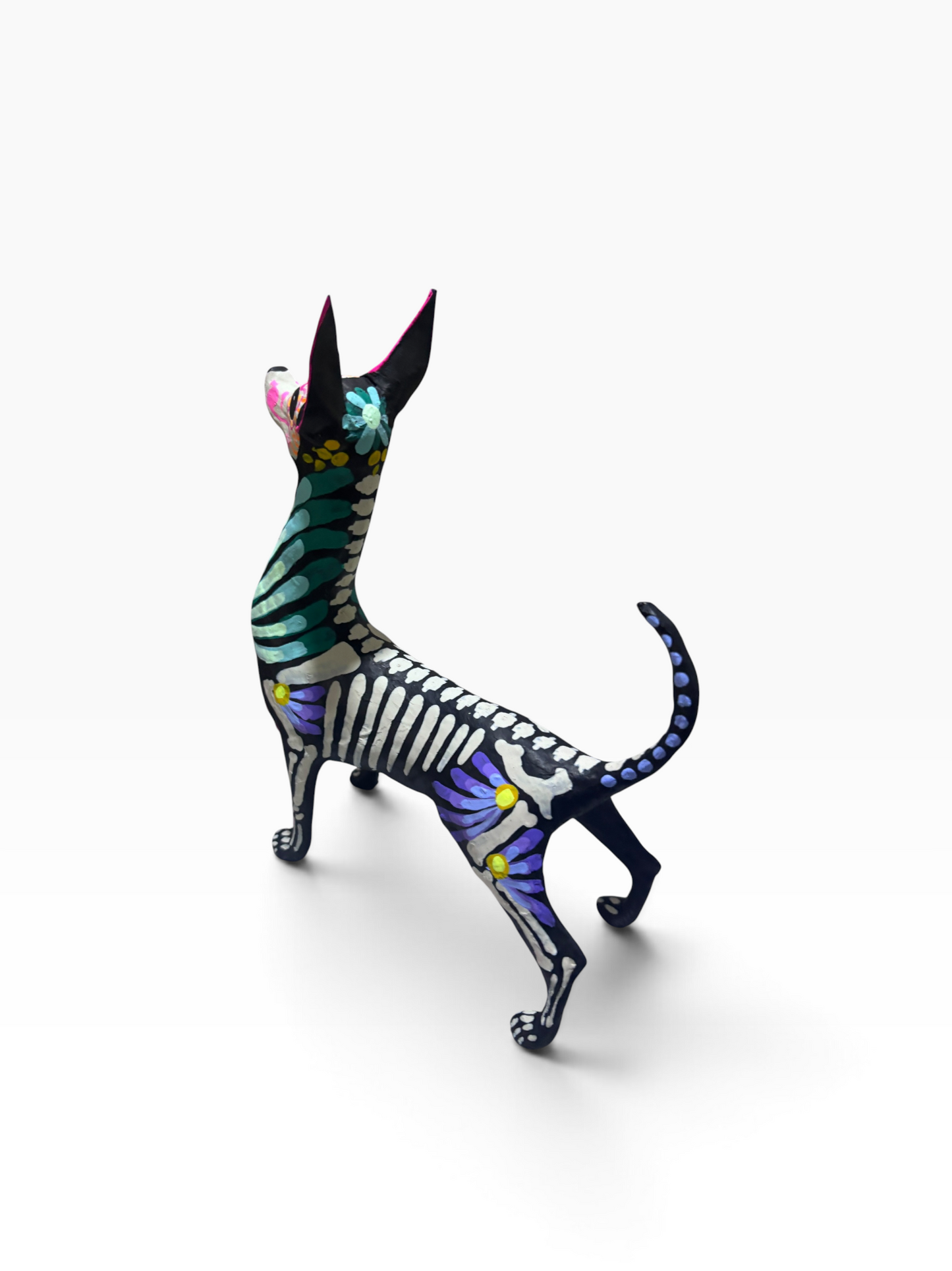 Xolo Petalos Aqua