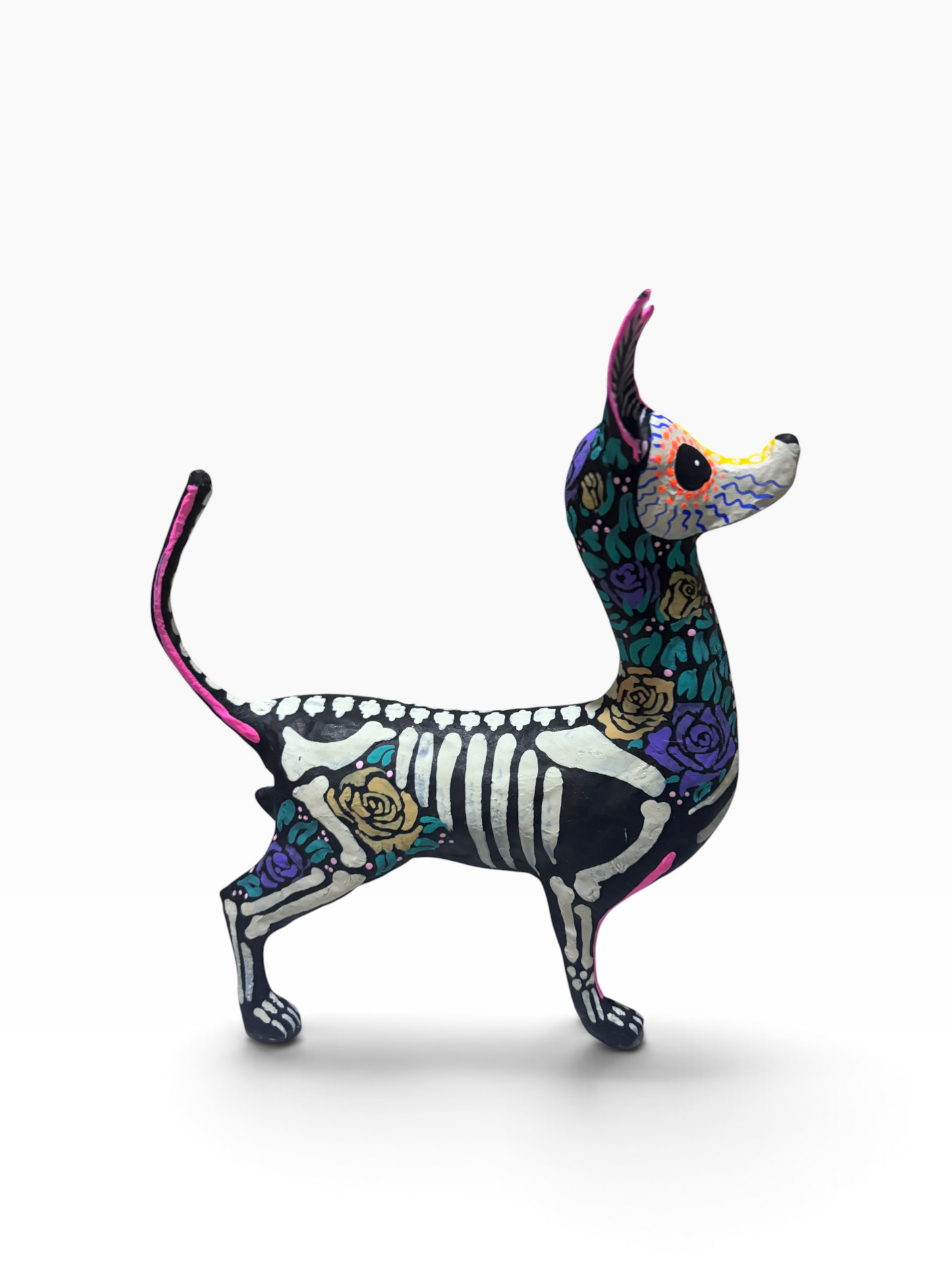 Xolo Rosas Moradas