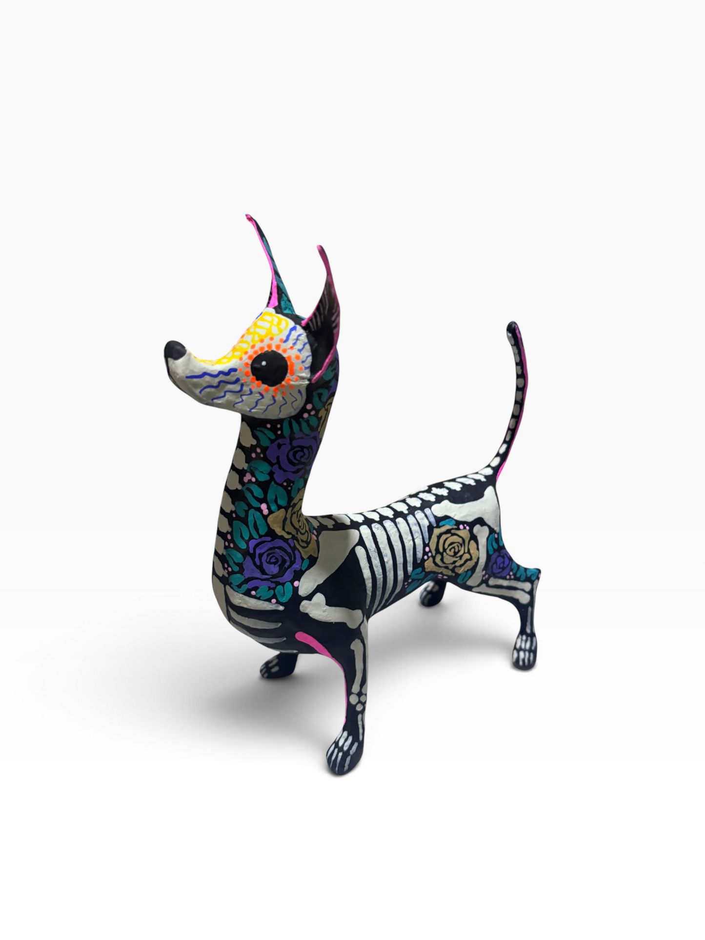 Xolo Rosas Moradas