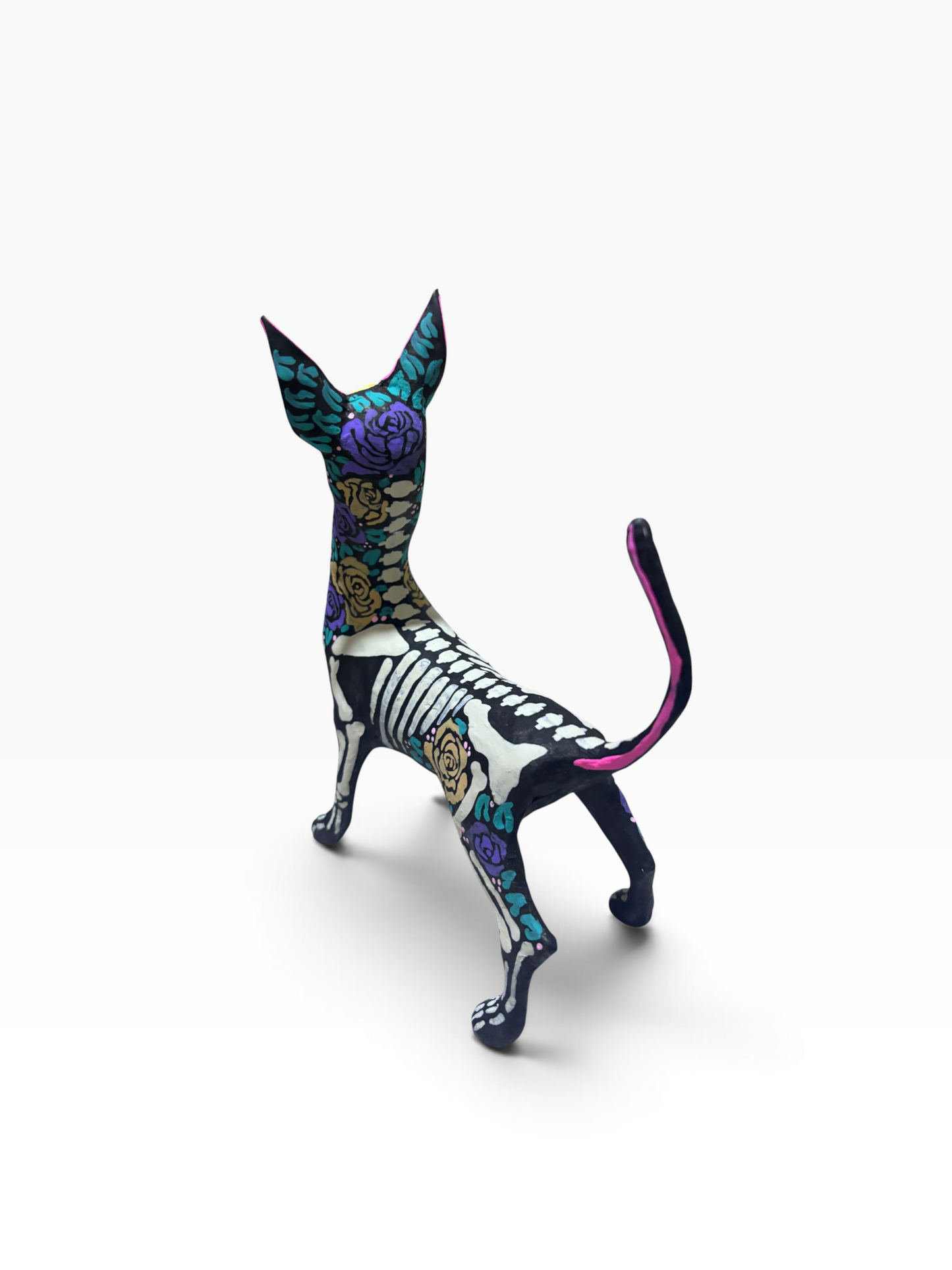 Xolo Rosas Moradas
