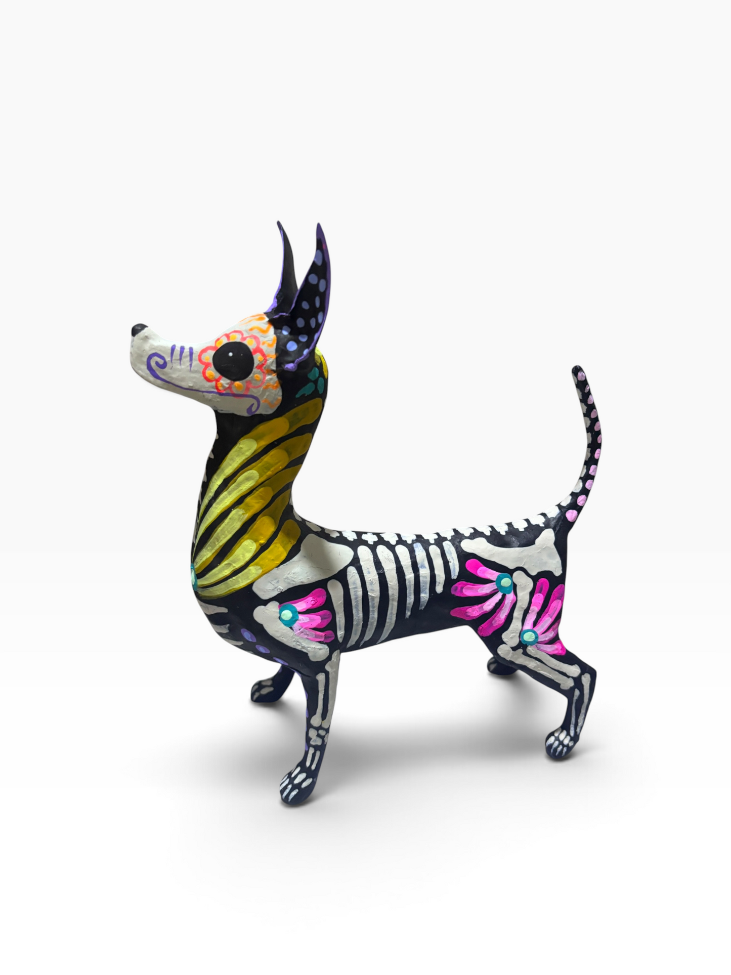 Xolo petalos amarillo