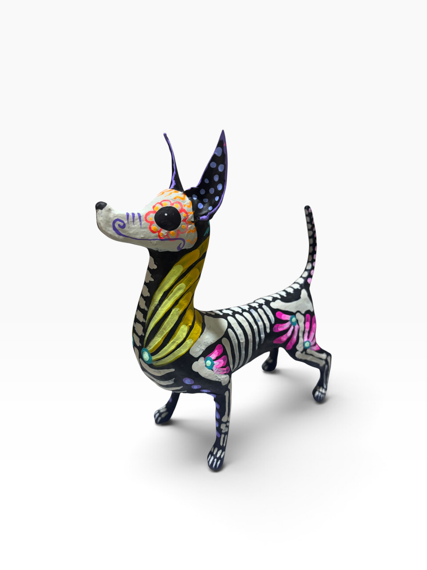 Xolo petalos amarillo