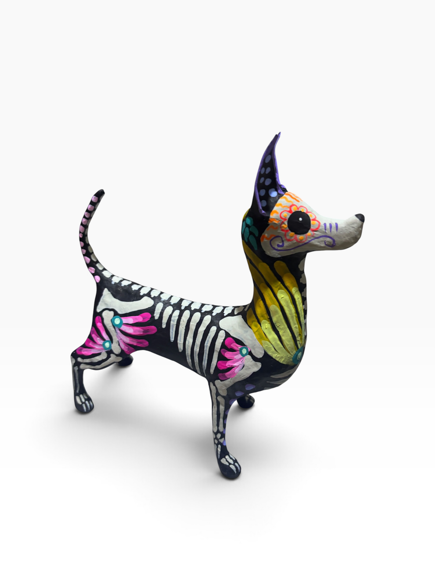 Xolo petalos amarillo
