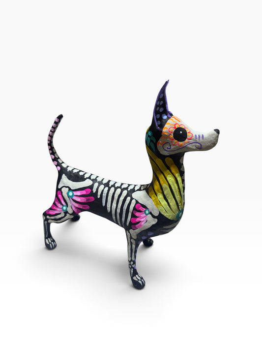 Xolo petalos amarillo