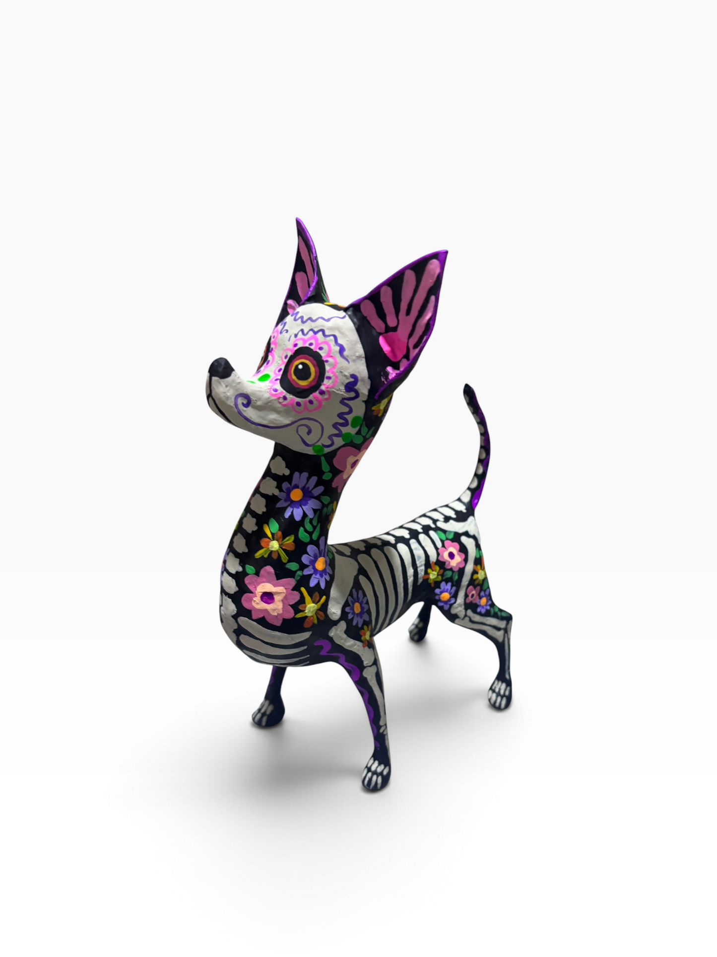 Chihuahua Trix pastel