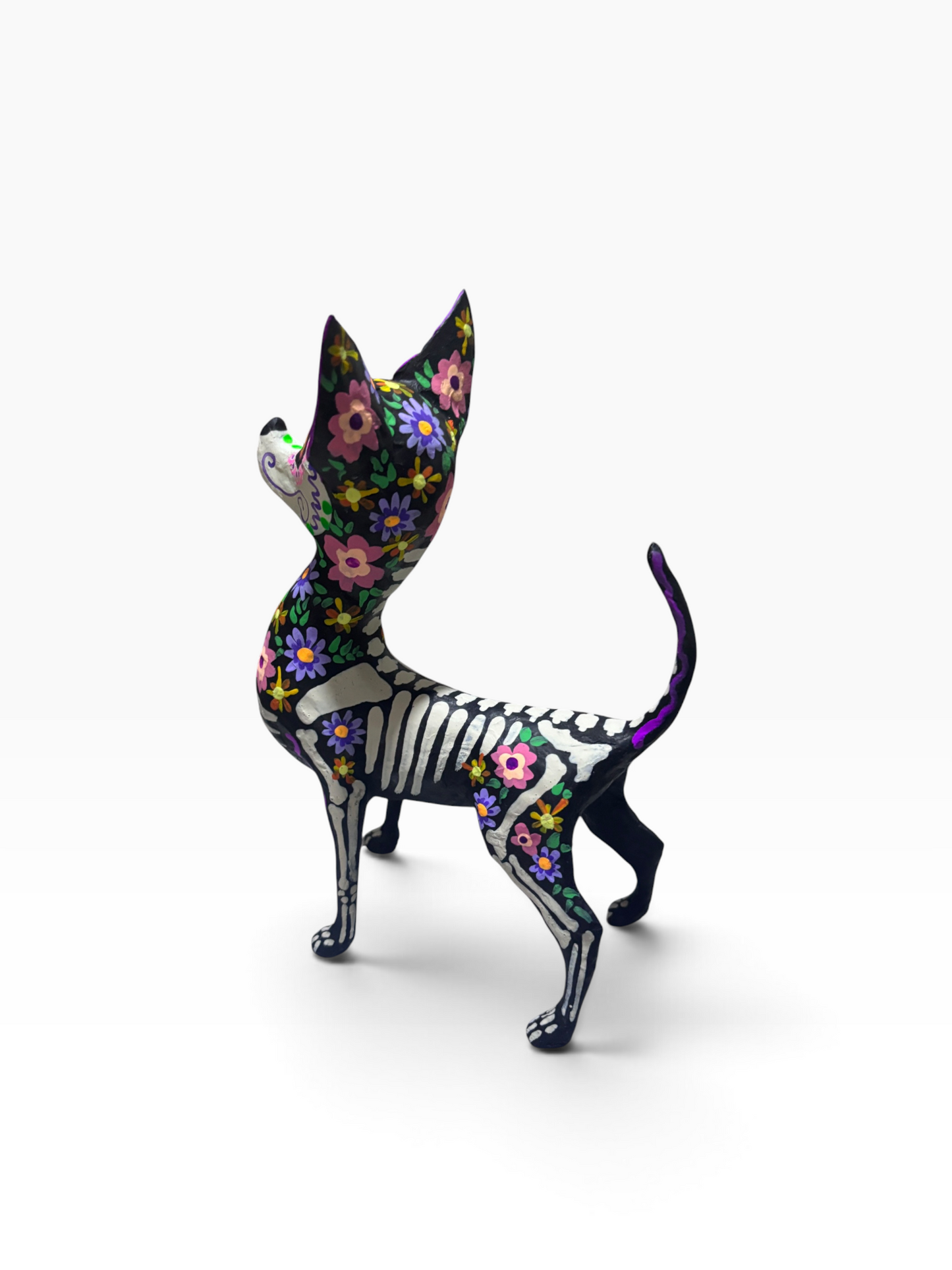 Chihuahua Trix pastel