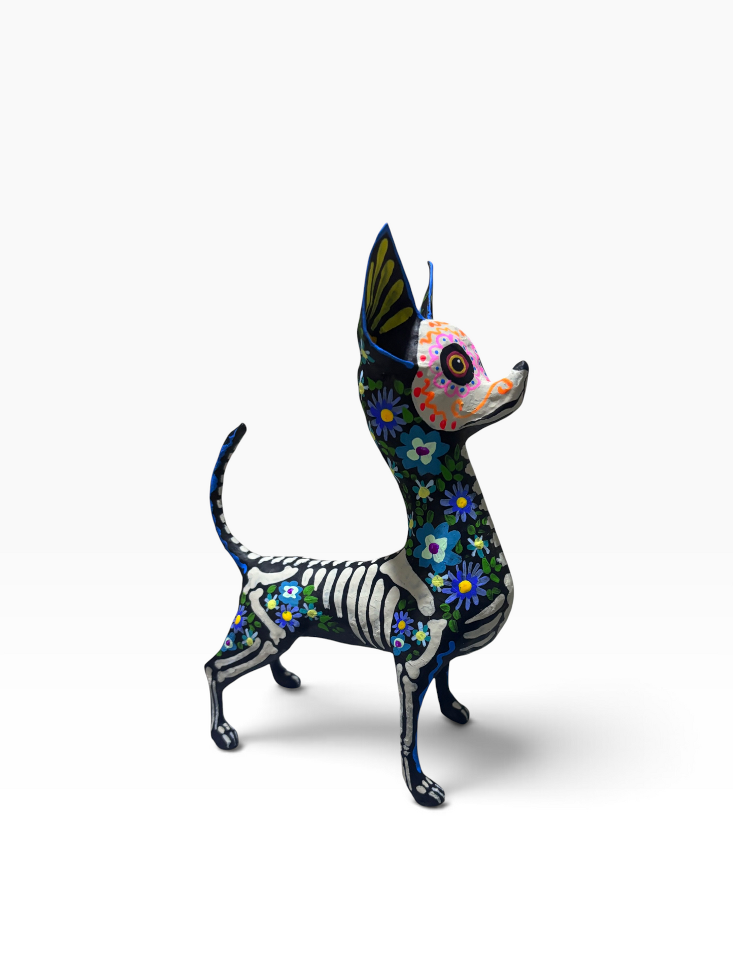Chihuahua Trix Azul
