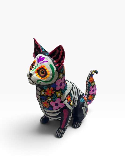 Gato Trix Rosa