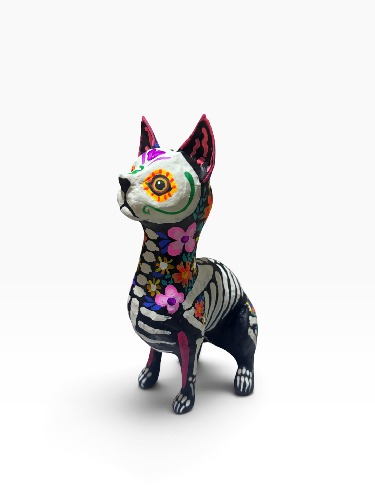 Gato Trix Rosa
