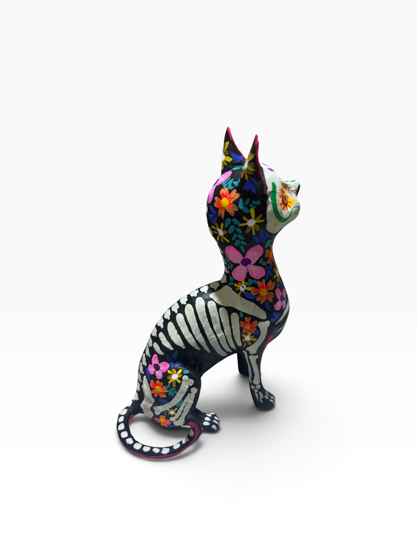 Gato Trix Rosa