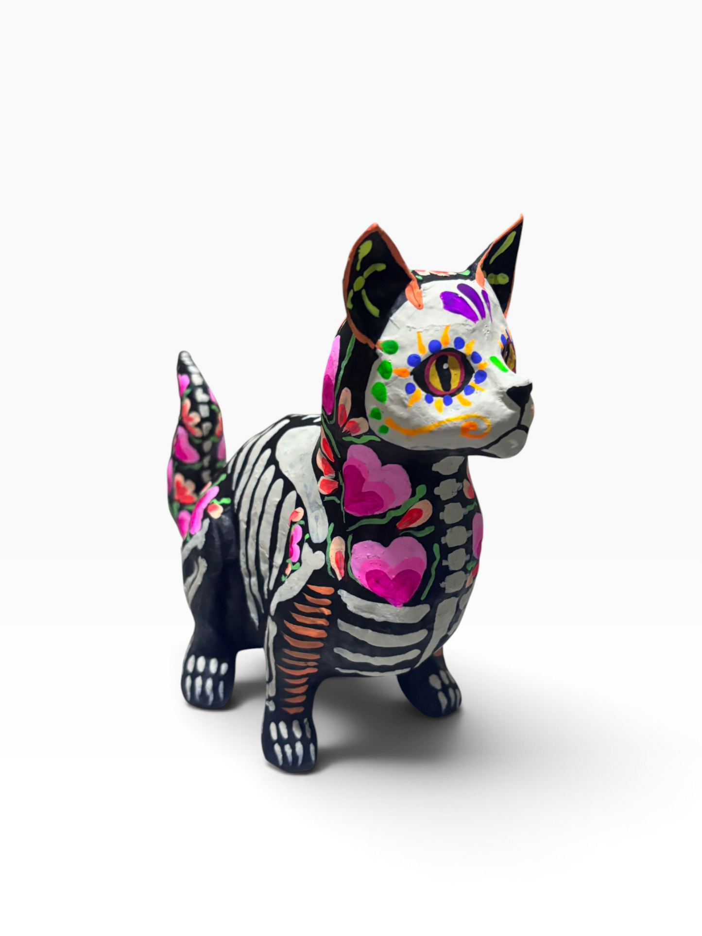 Gato corazones rosas