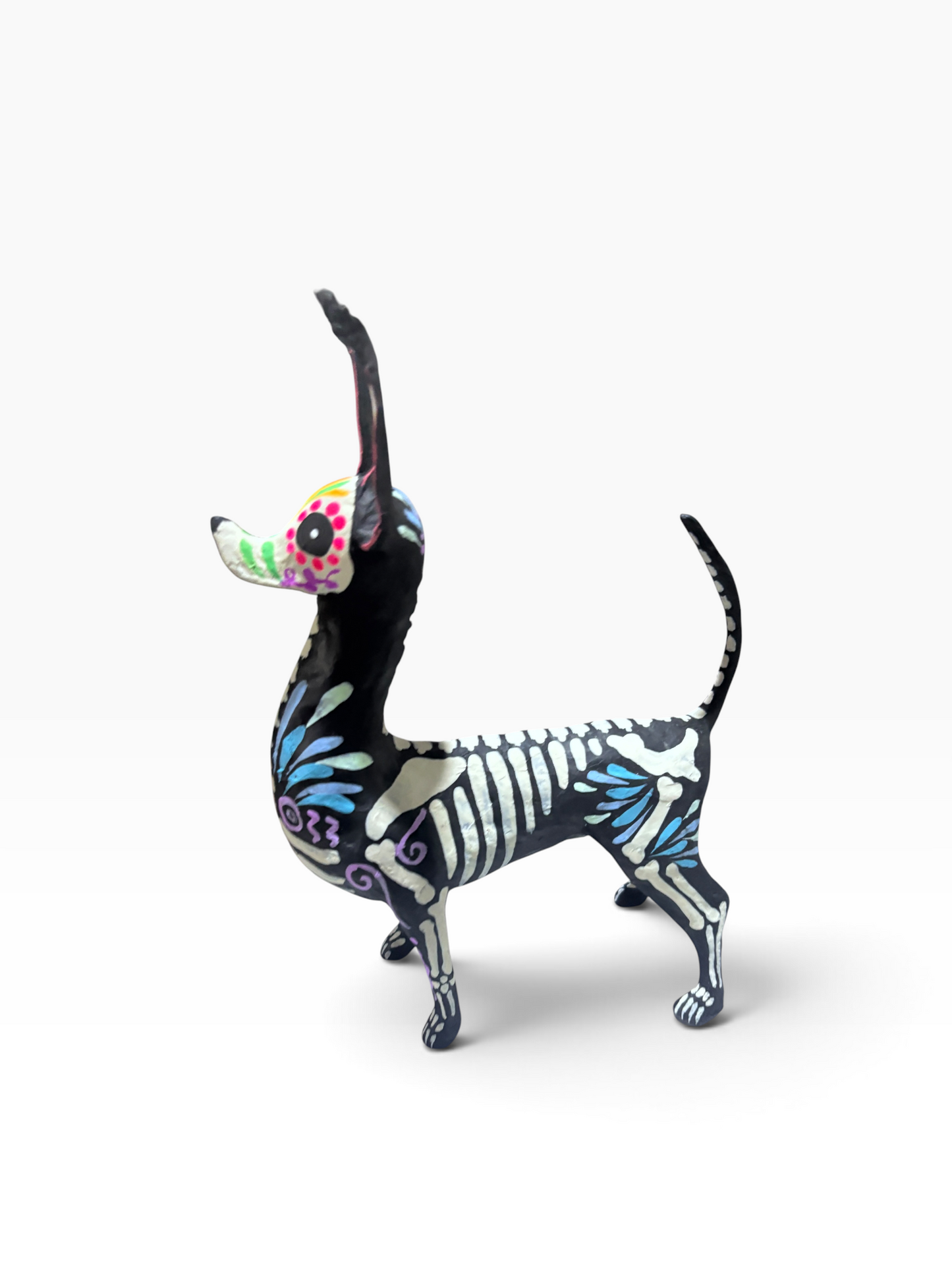 Xolo petalos azul