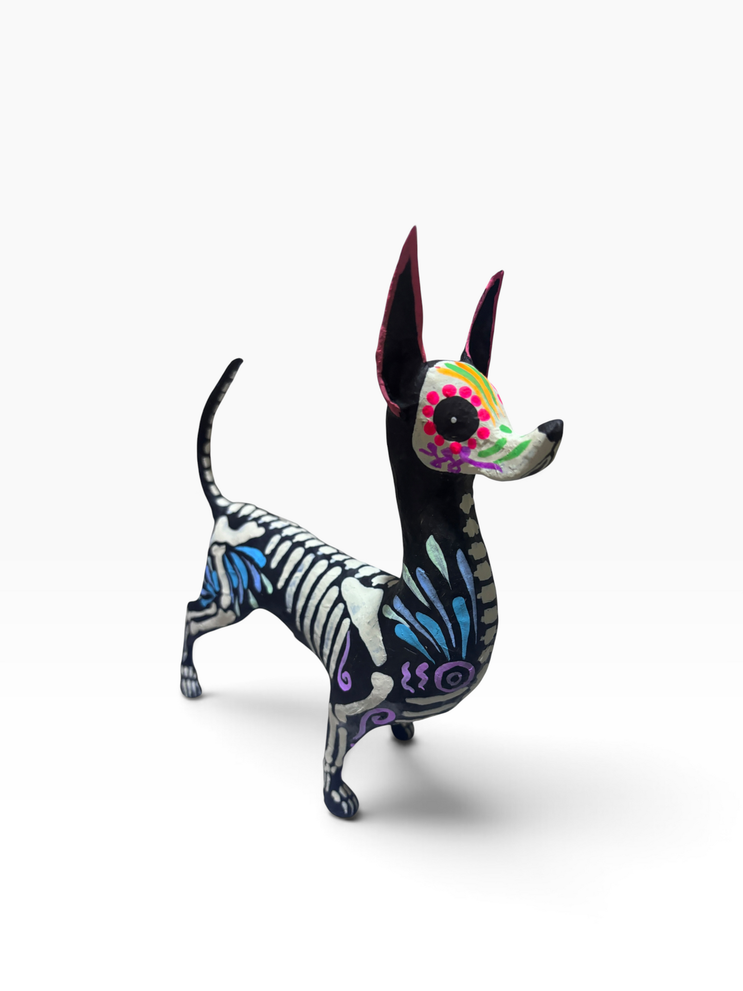 Xolo petalos azul