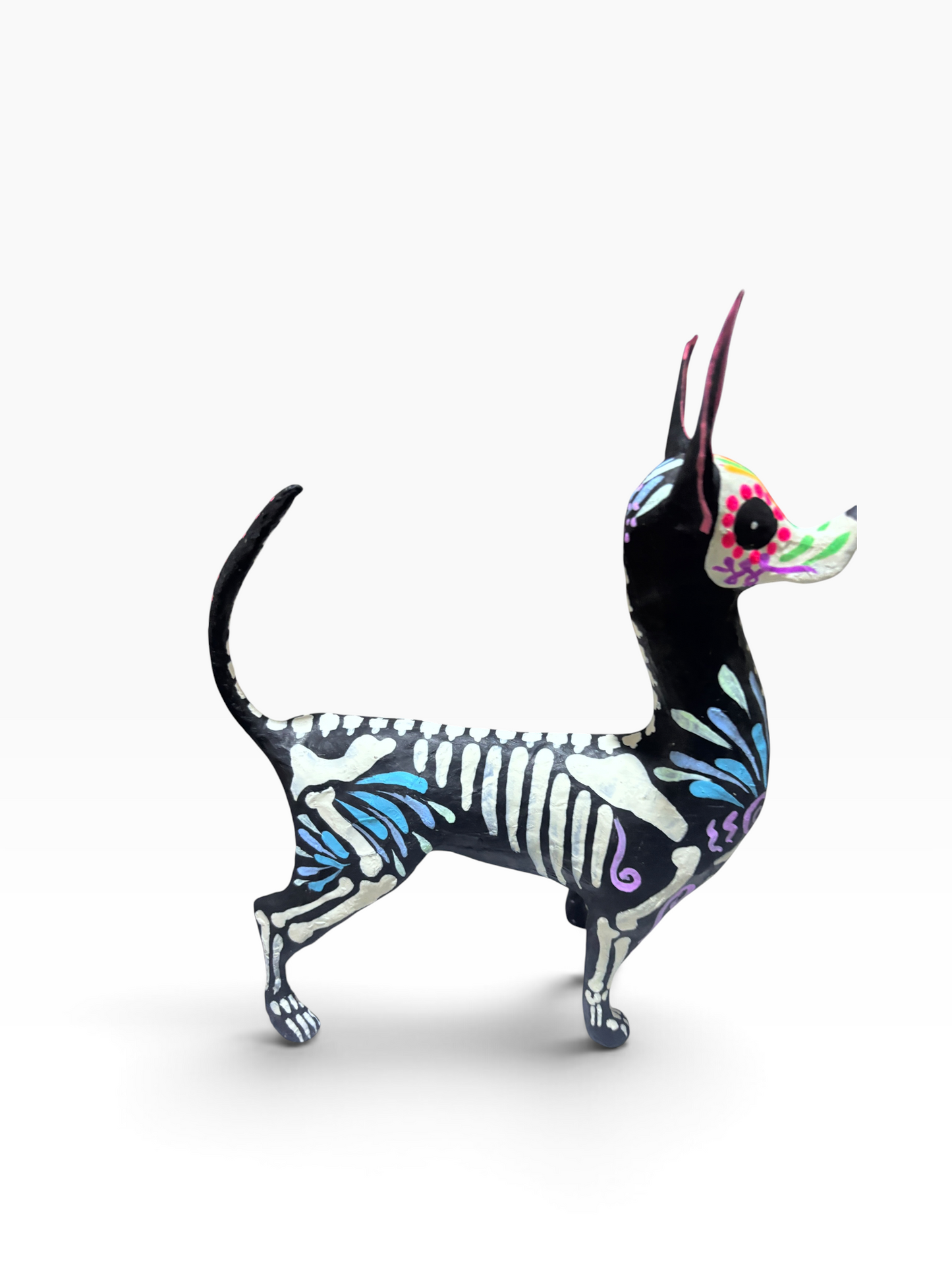 Xolo petalos azul
