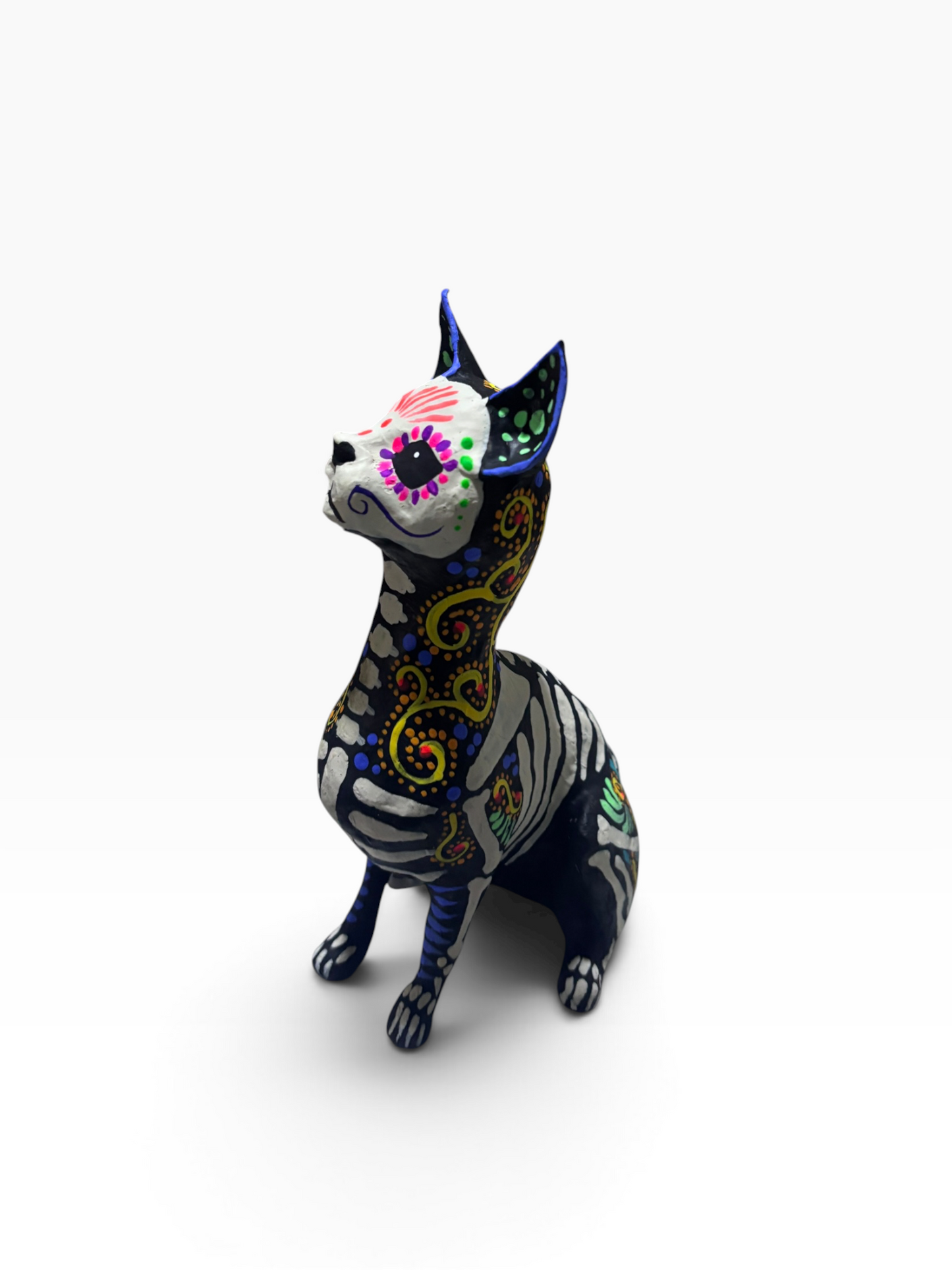 Gato Espirales Amarillos
