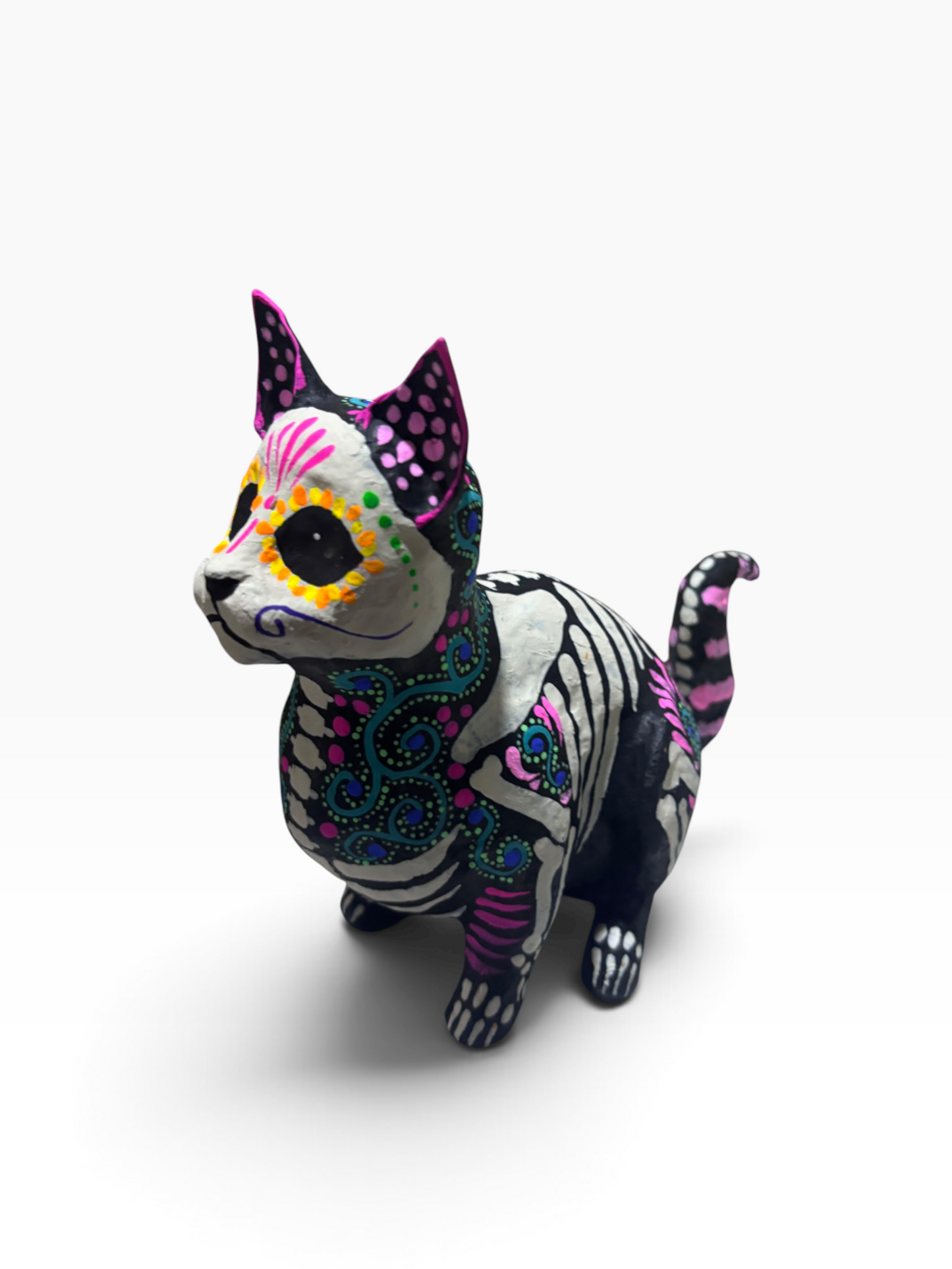 Gato Gordito espirales Azul