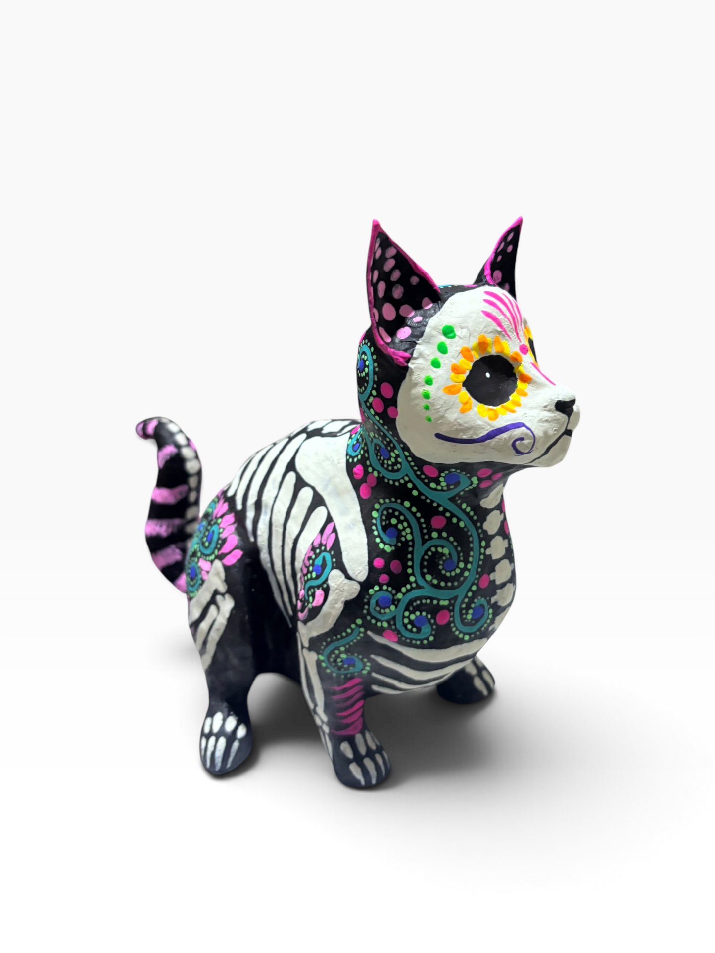 Gato Gordito espirales Azul