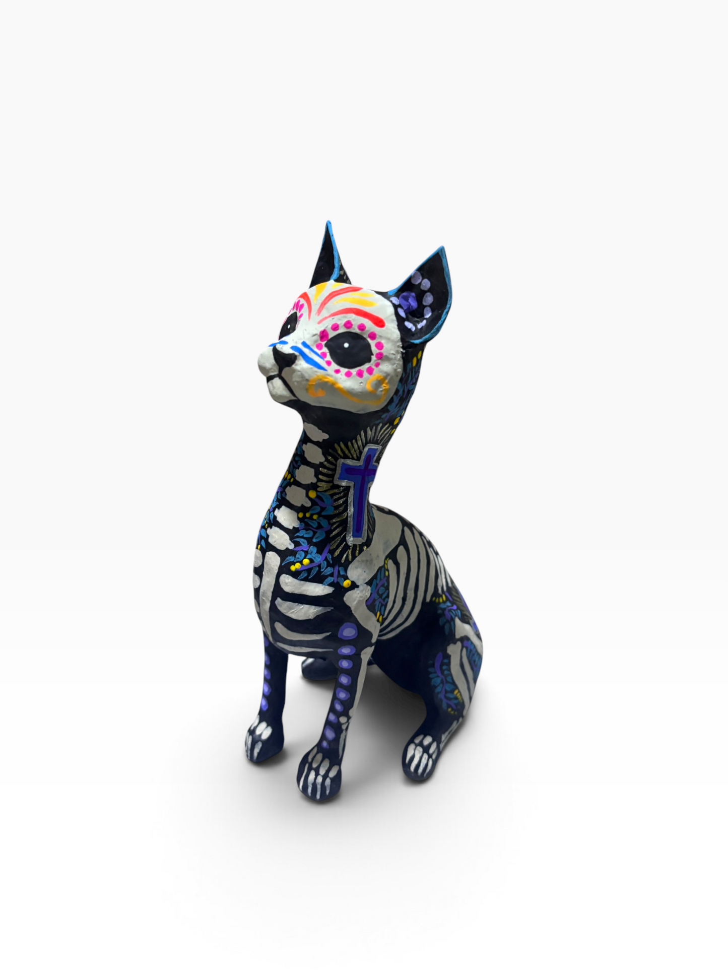 Gato Cruz Azul