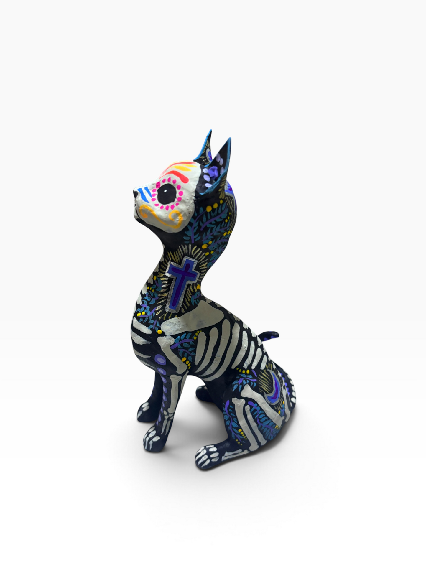Gato Cruz Azul