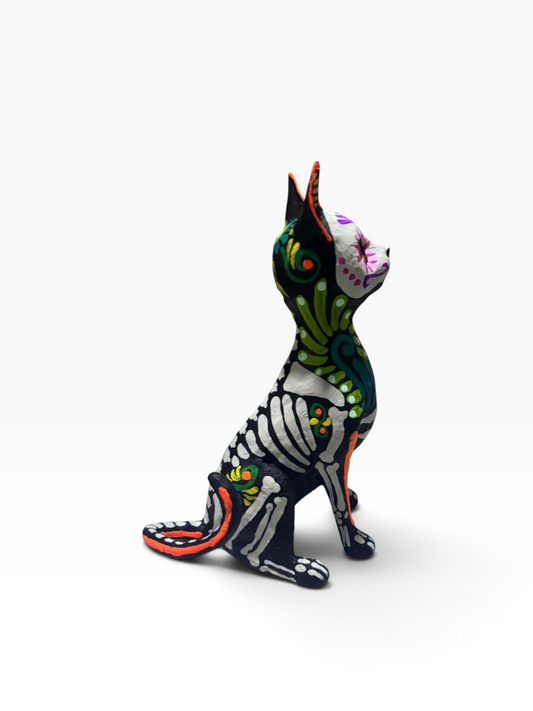 Gato Ollin Azul