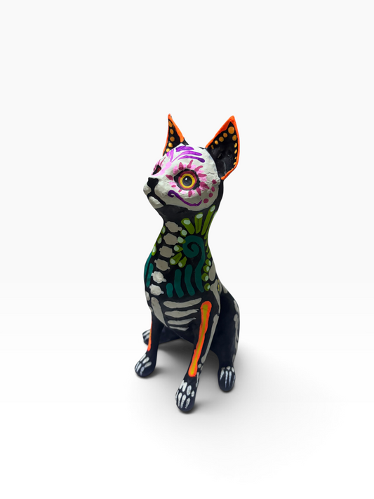 Gato Ollin Azul
