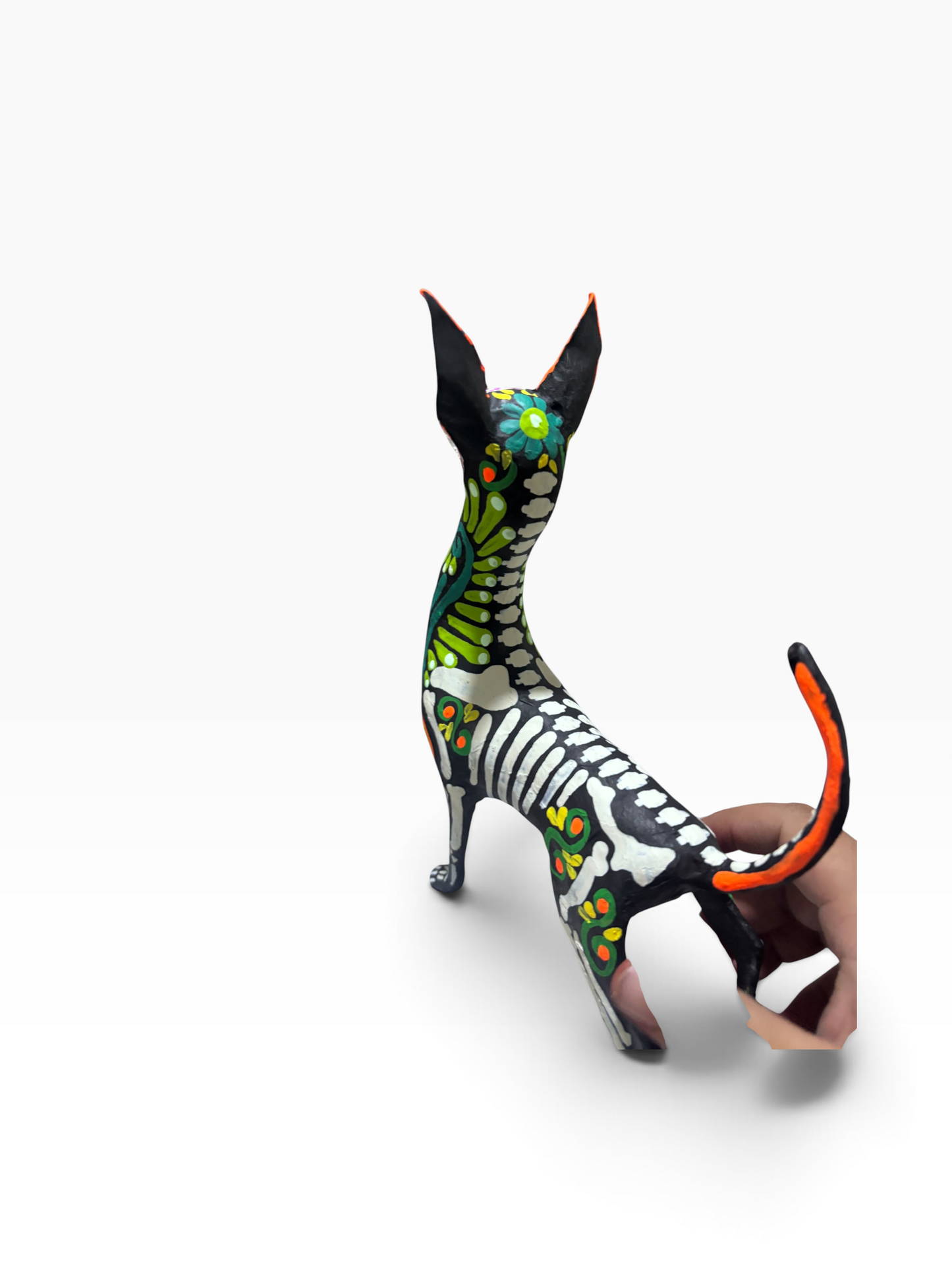 Xolo Ollin Verde