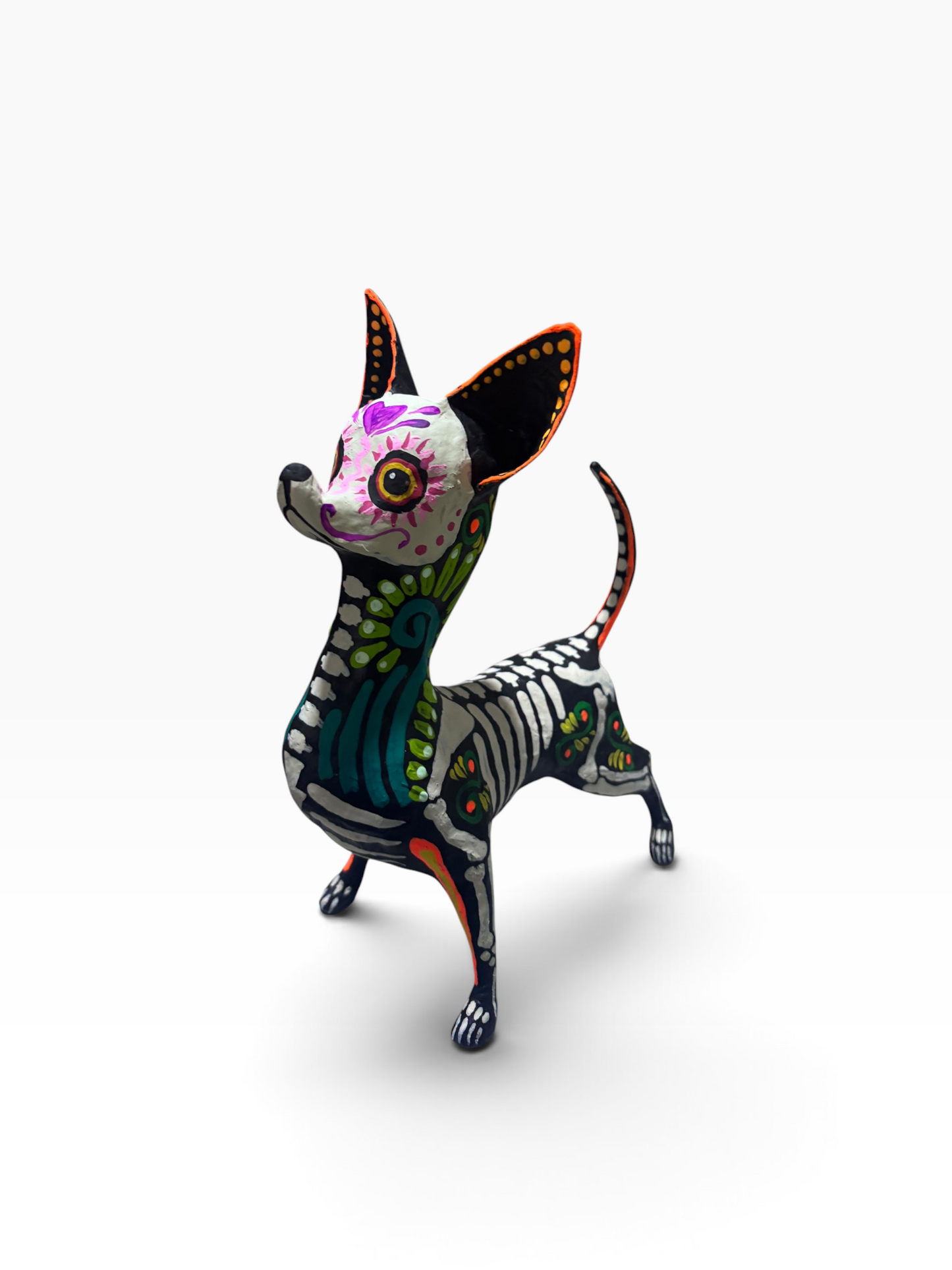 Chihuahua Ollin Verde