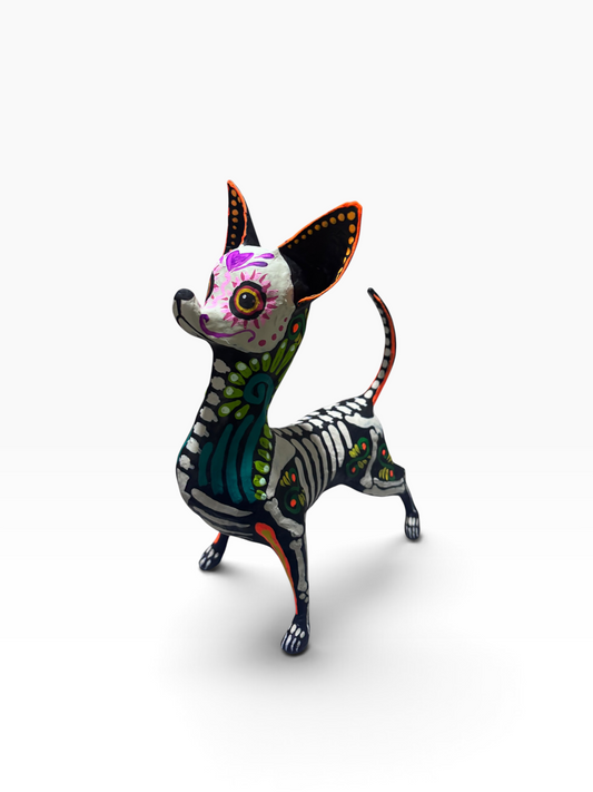 Chihuahua Ollin Verde