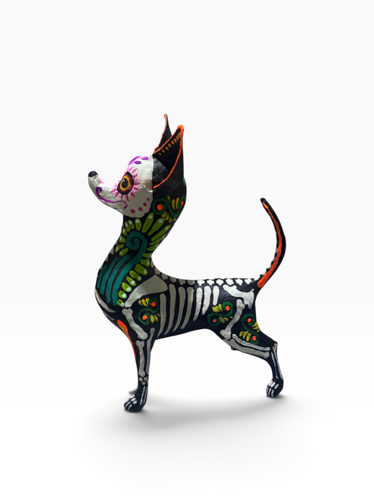 Chihuahua Ollin Verde