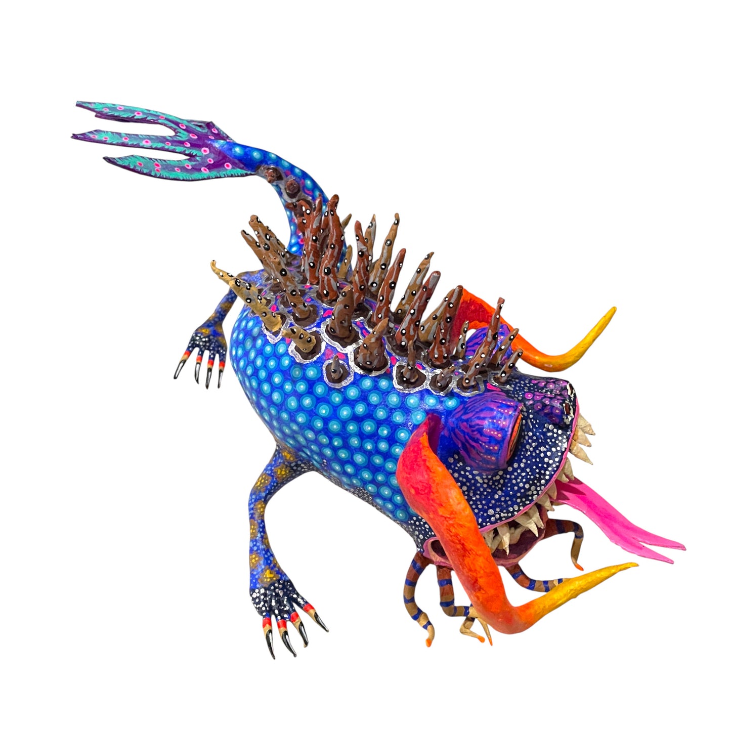 Lagartija inifuga azul